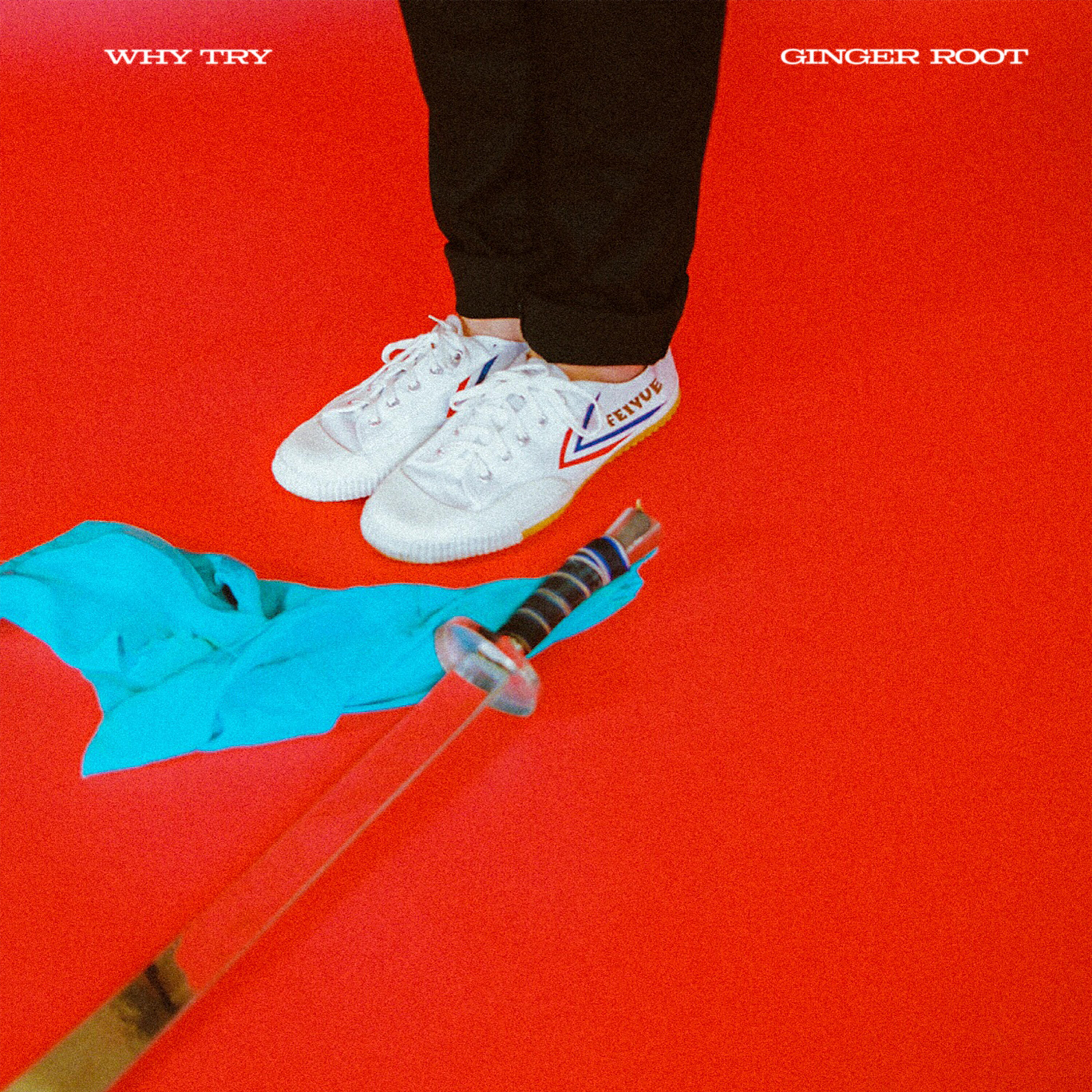 Релиз Why Try