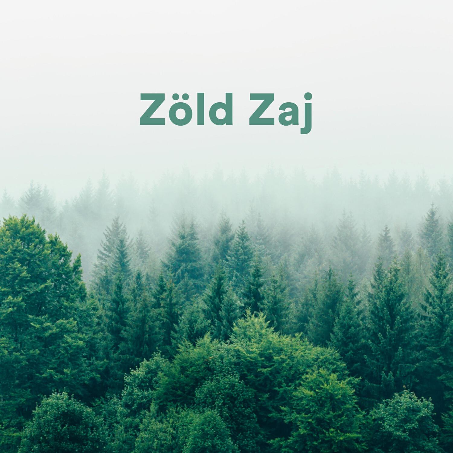 Fehér Zaj