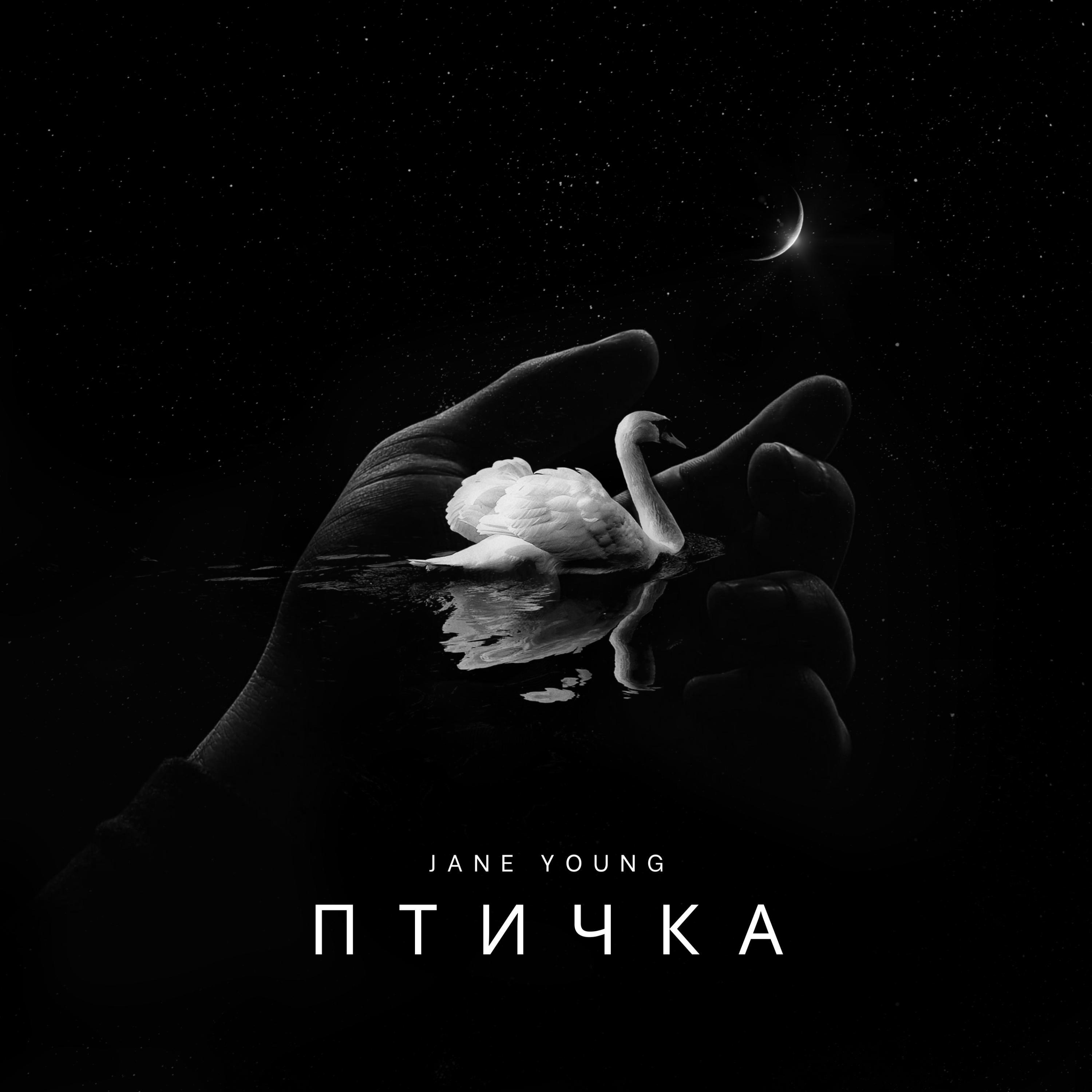 Релиз Птичка