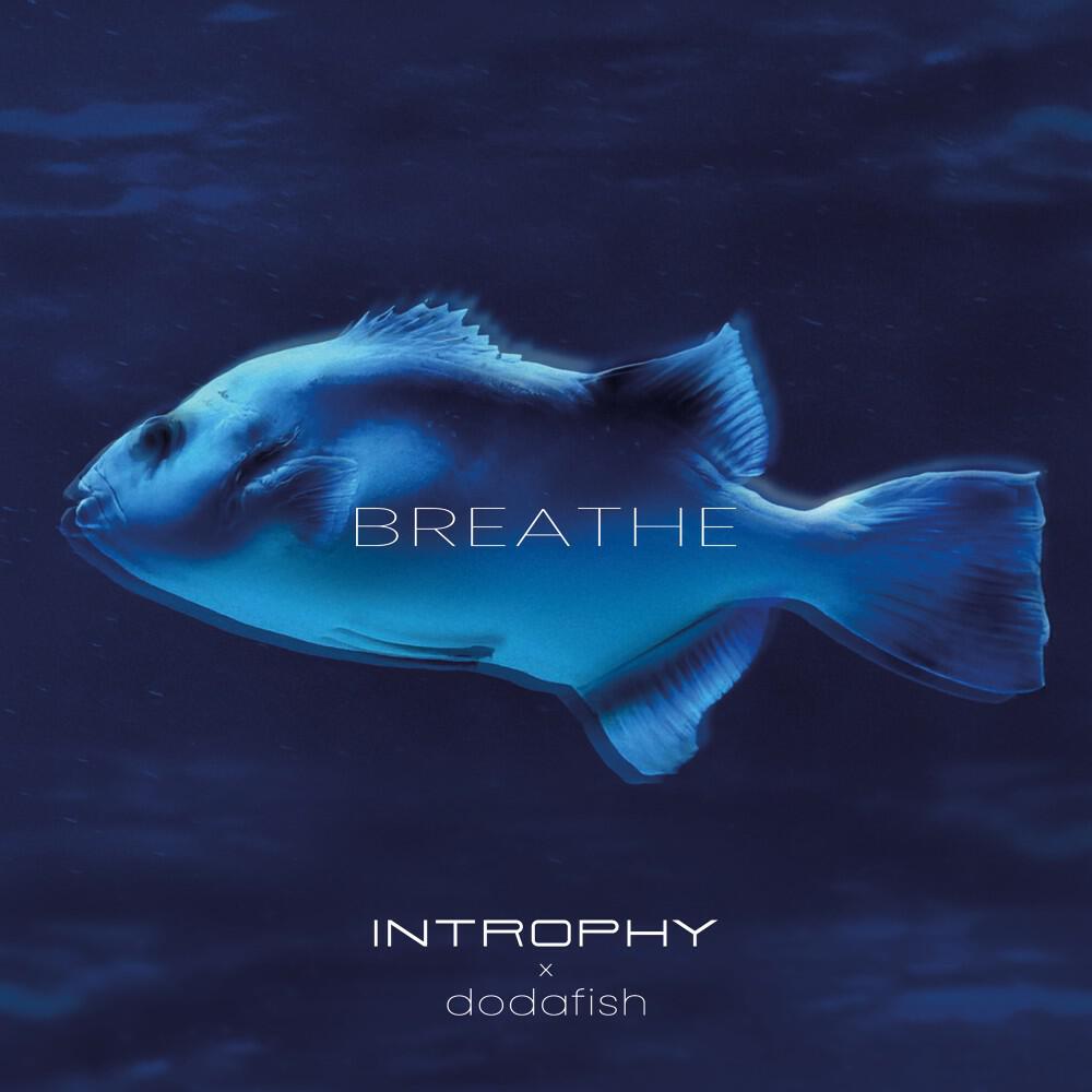 Релиз Breathe