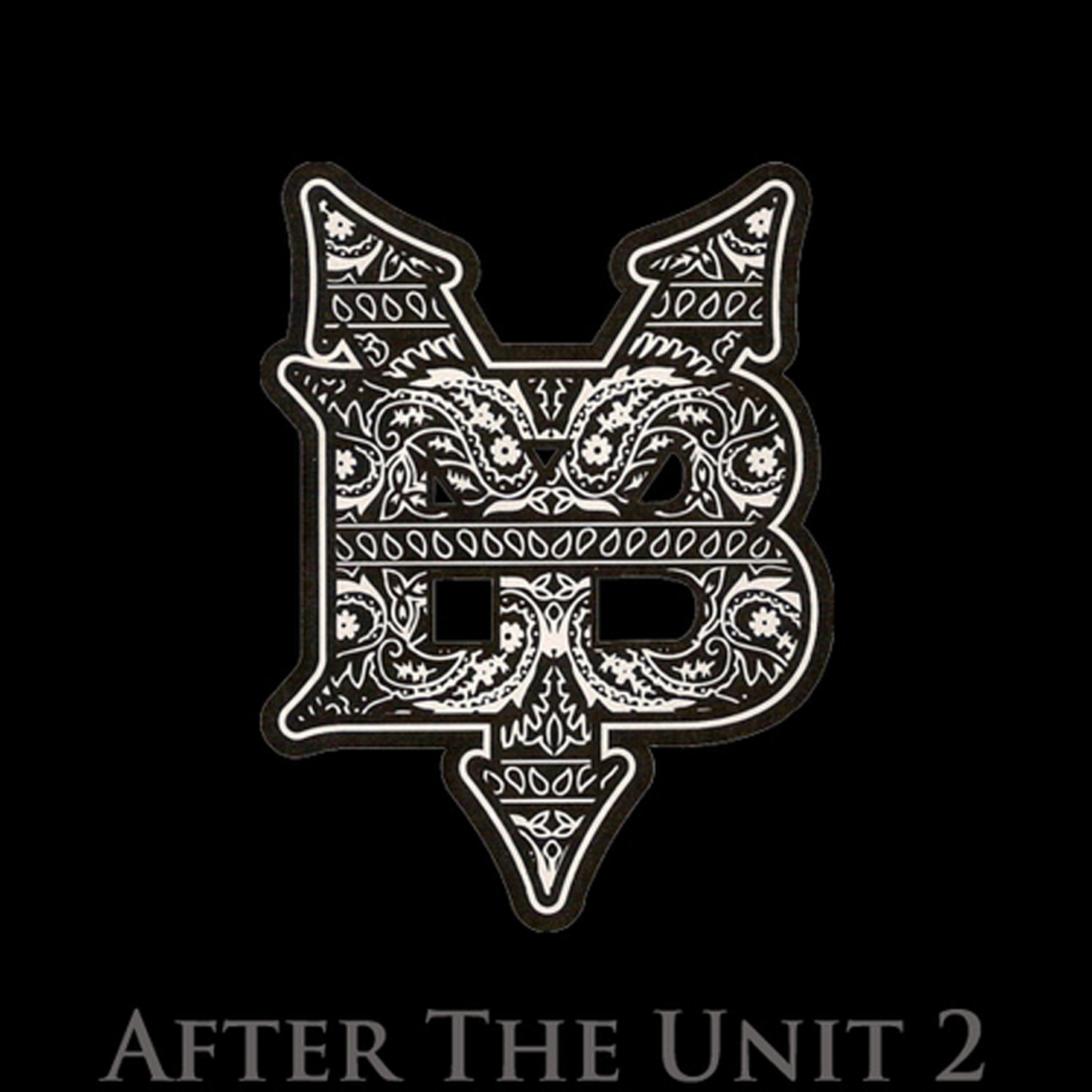 Релиз After the Unit 2