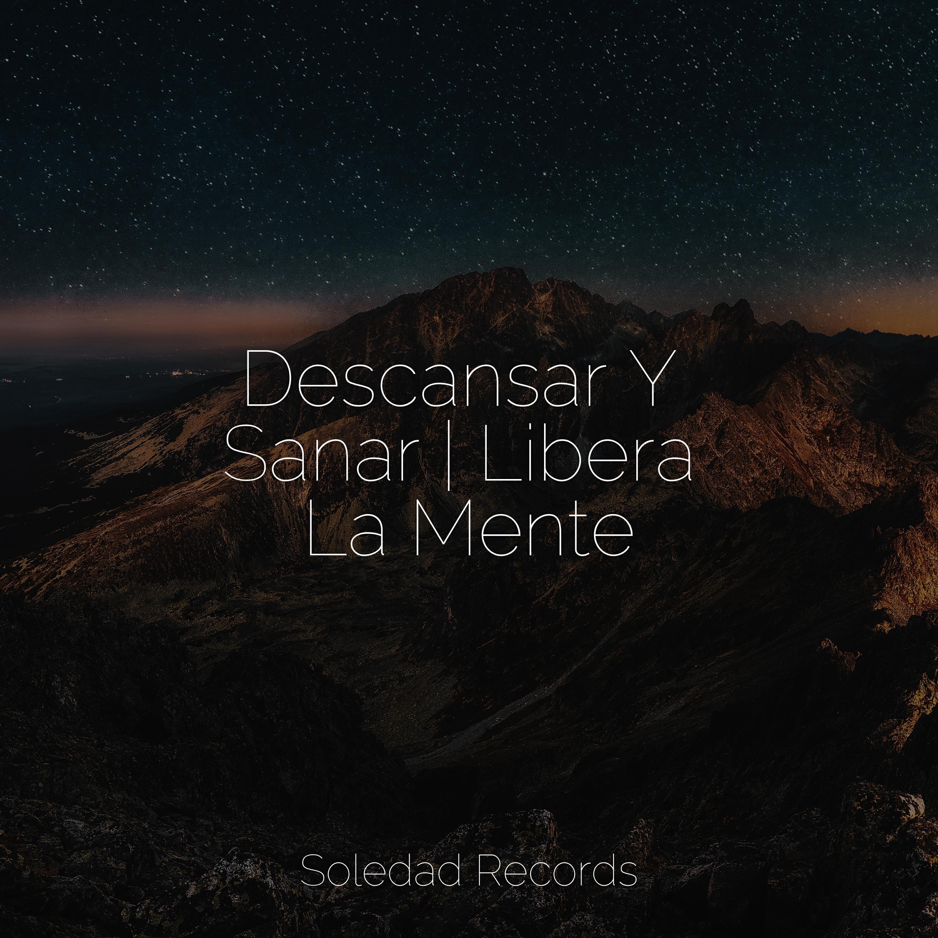 Canciones de Cuna 101