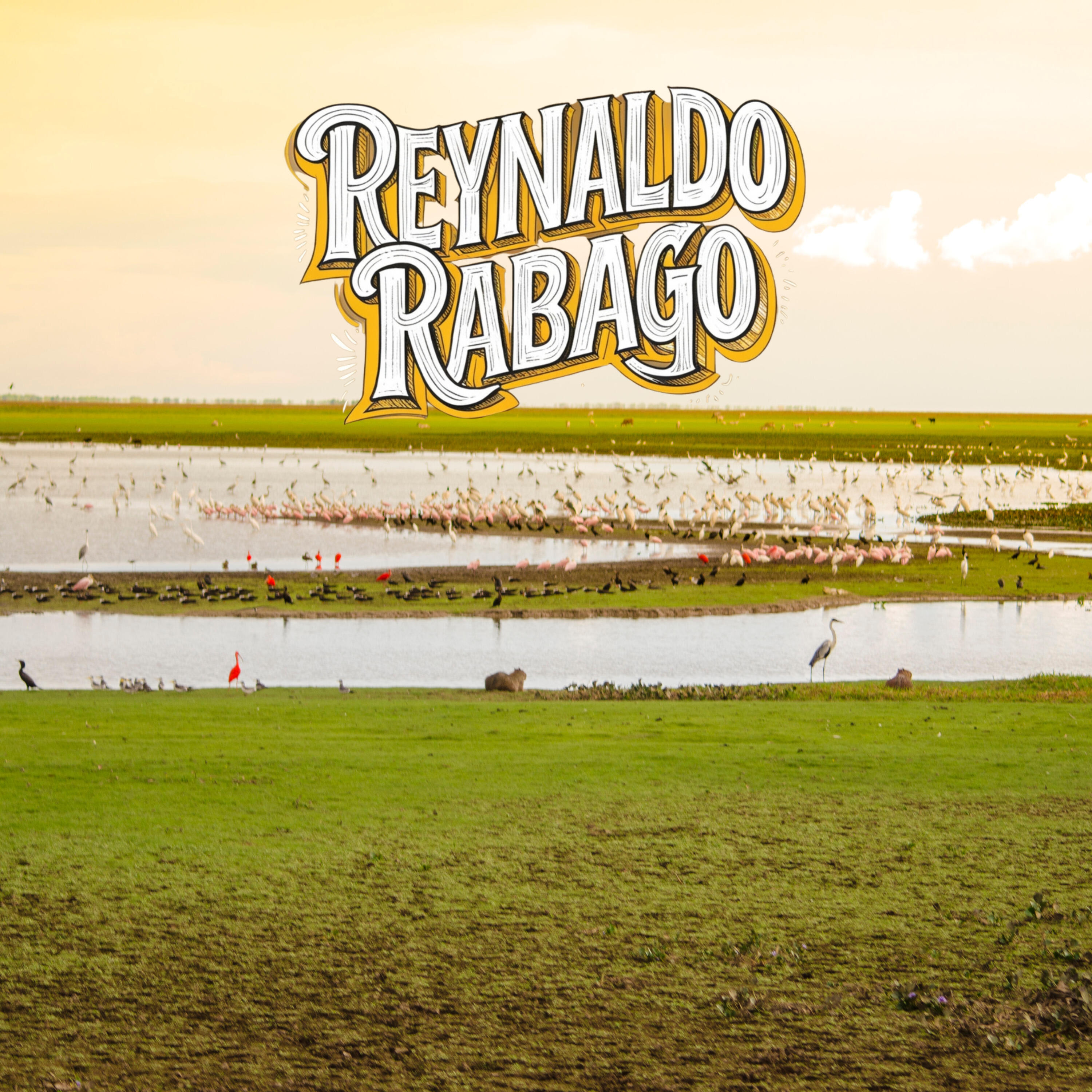 Reynaldo Rabago