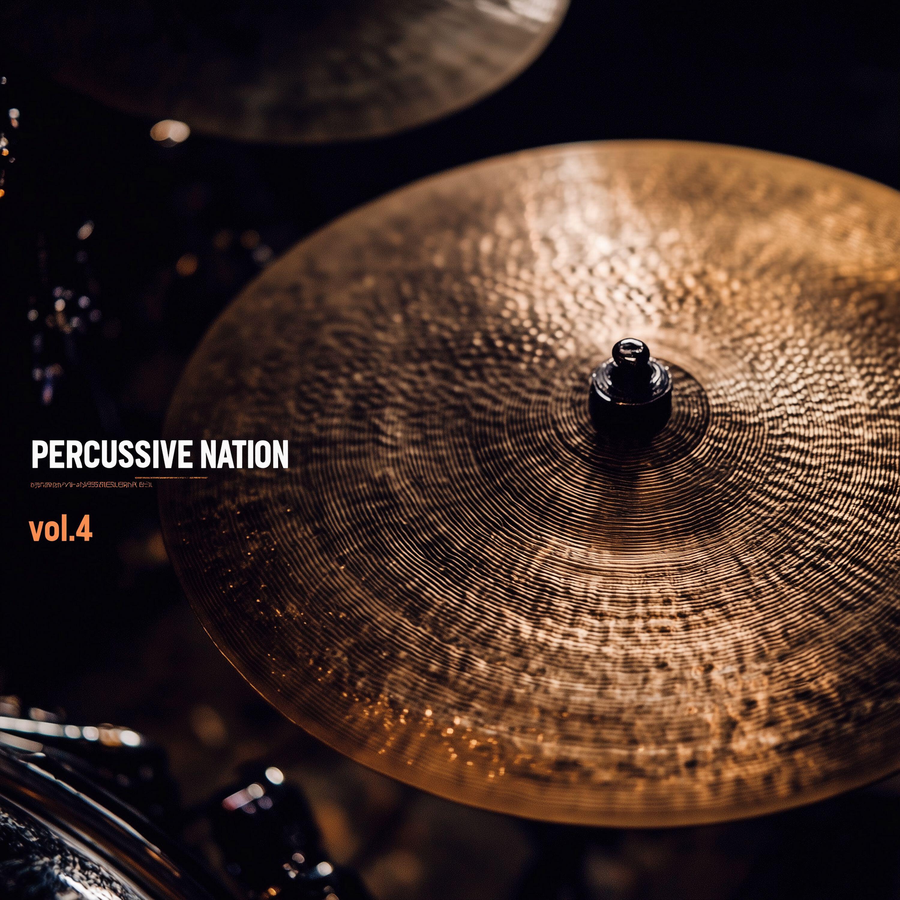 Релиз Percussive Nation vol.4