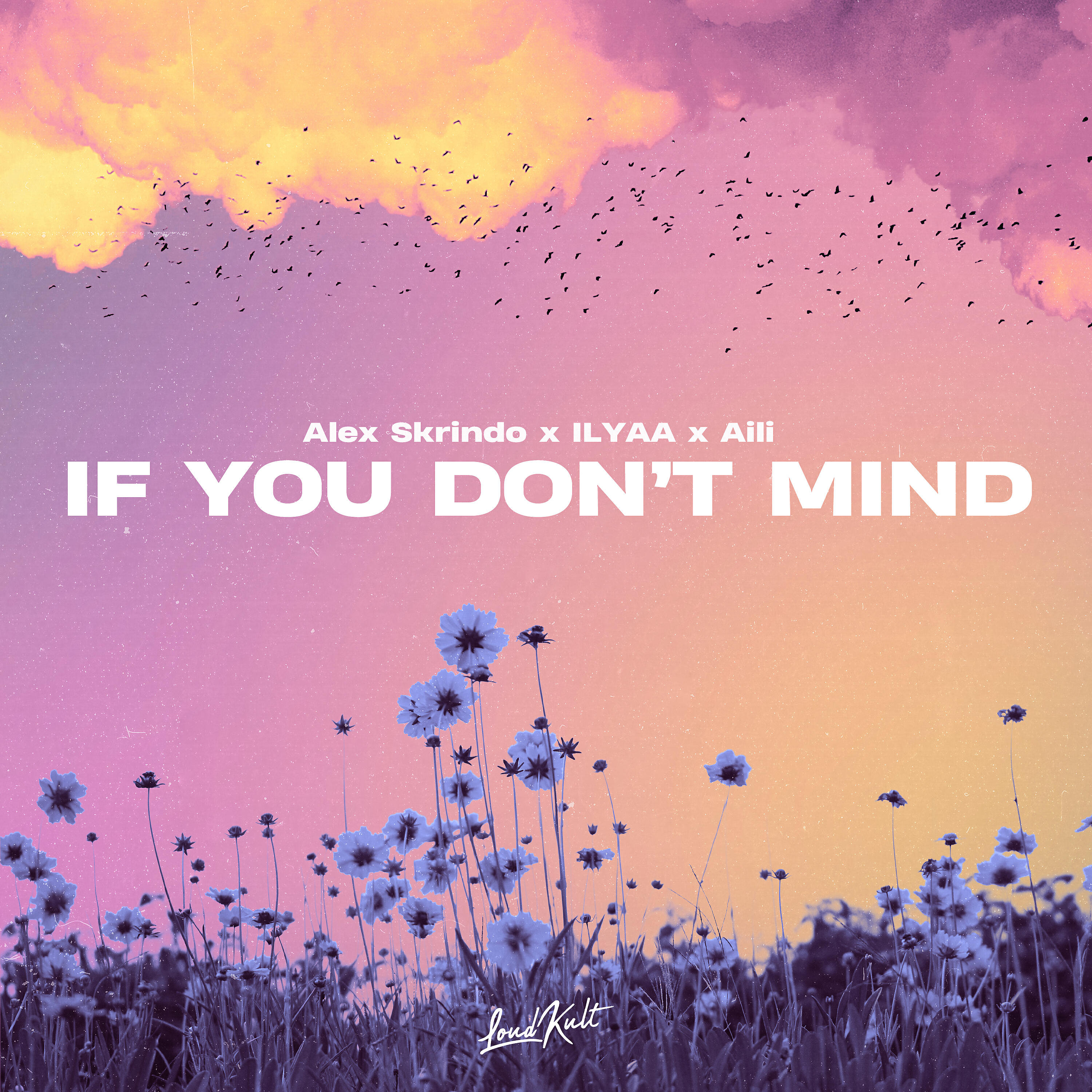 Релиз If You Don't Mind