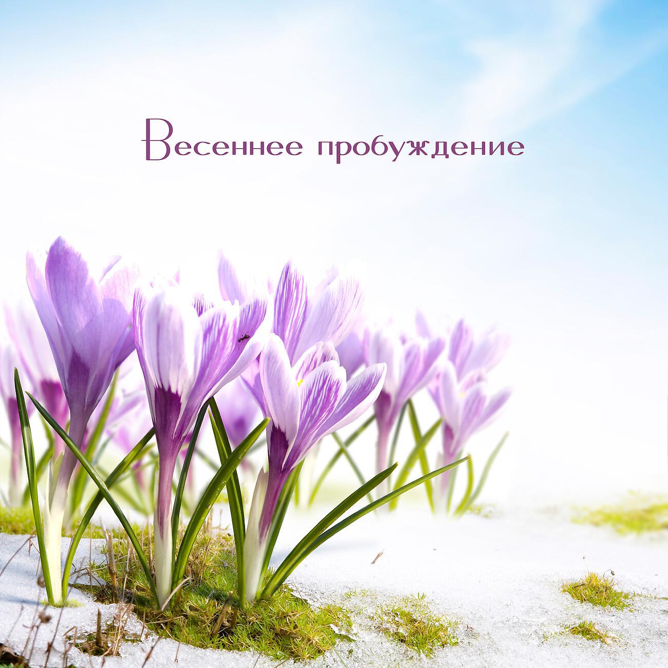 Релиз Весеннее пробуждение
