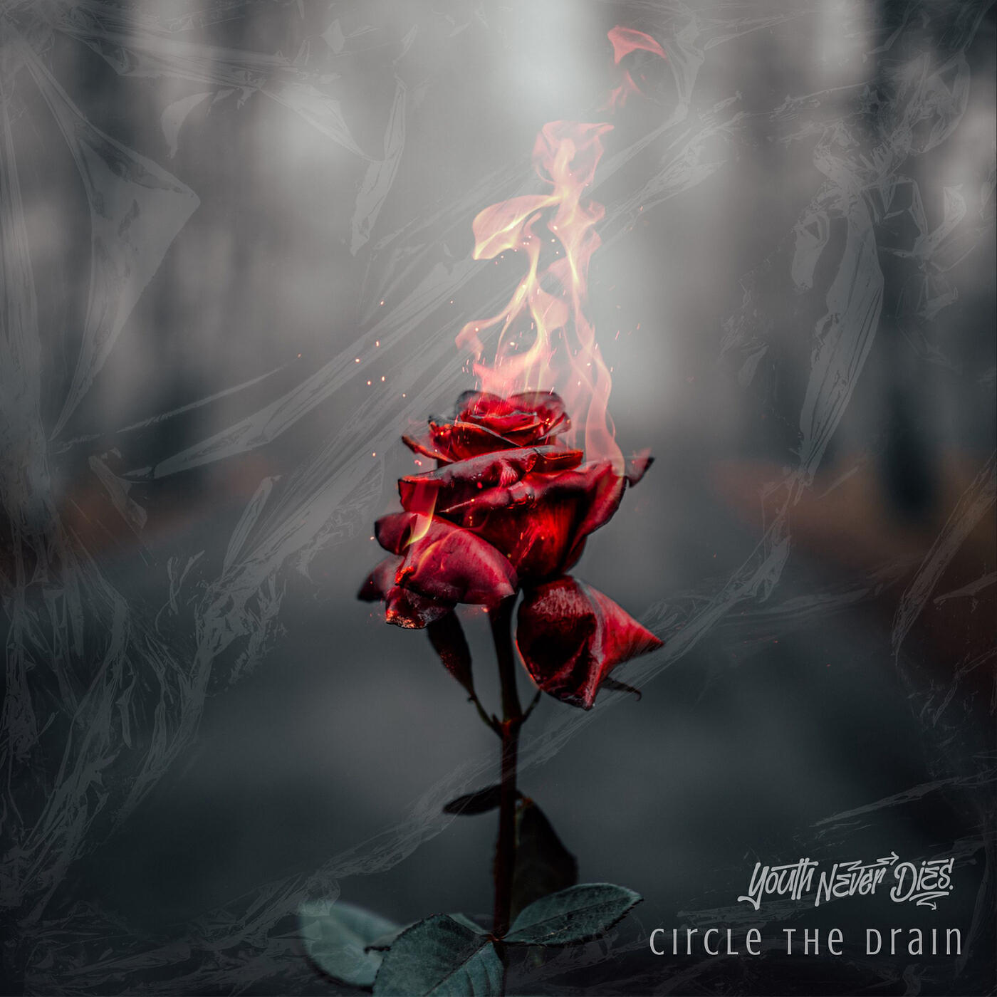 Релиз Circle the Drain