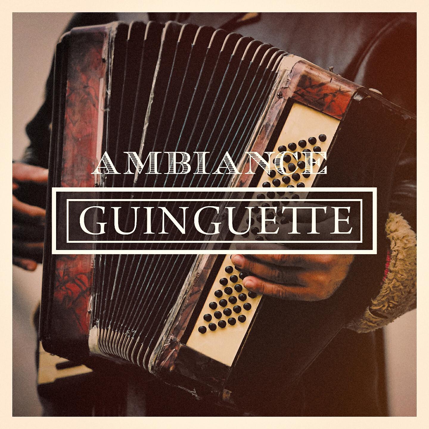 L'Accordeoniste