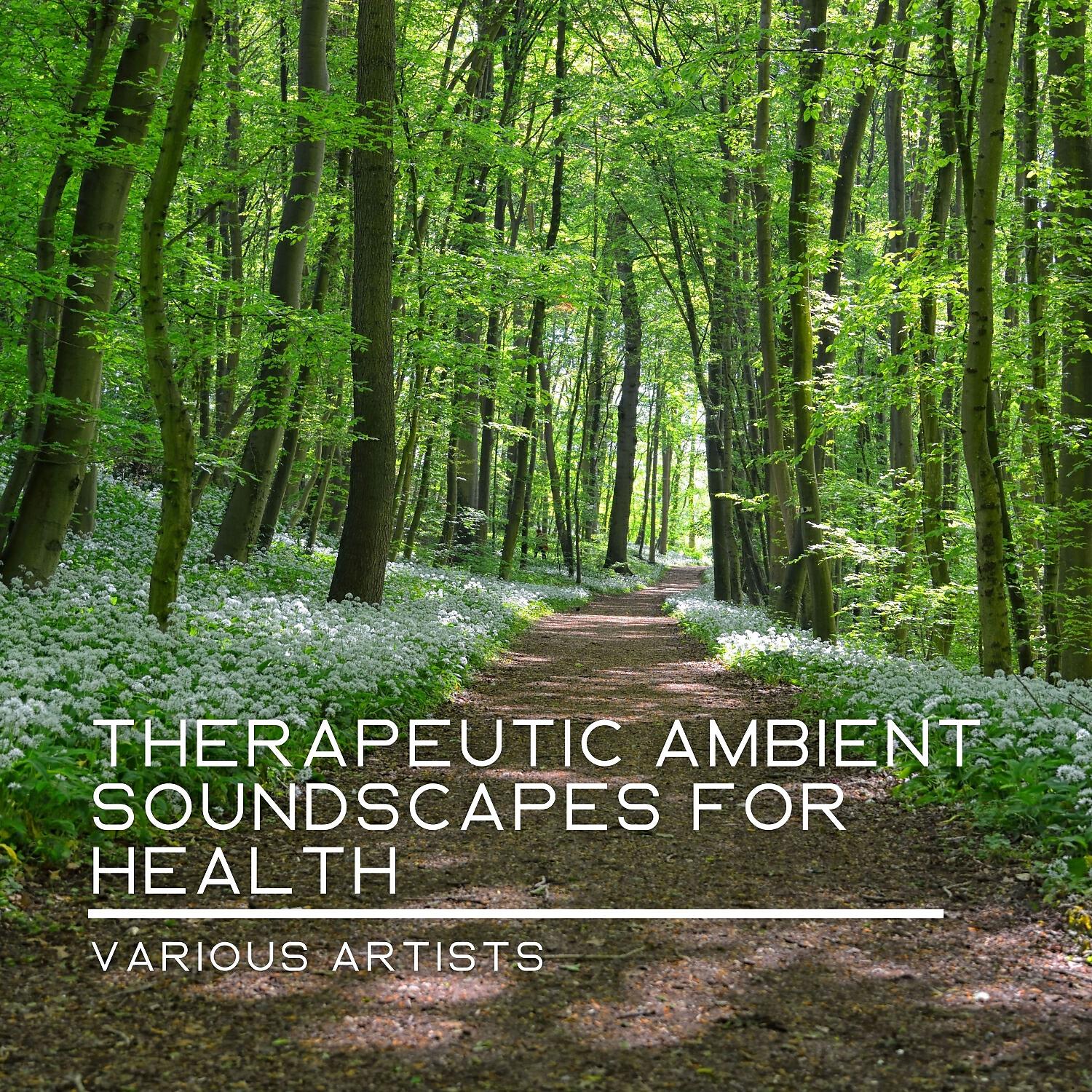 Релиз Therapeutic Ambient Soundscapes for Health