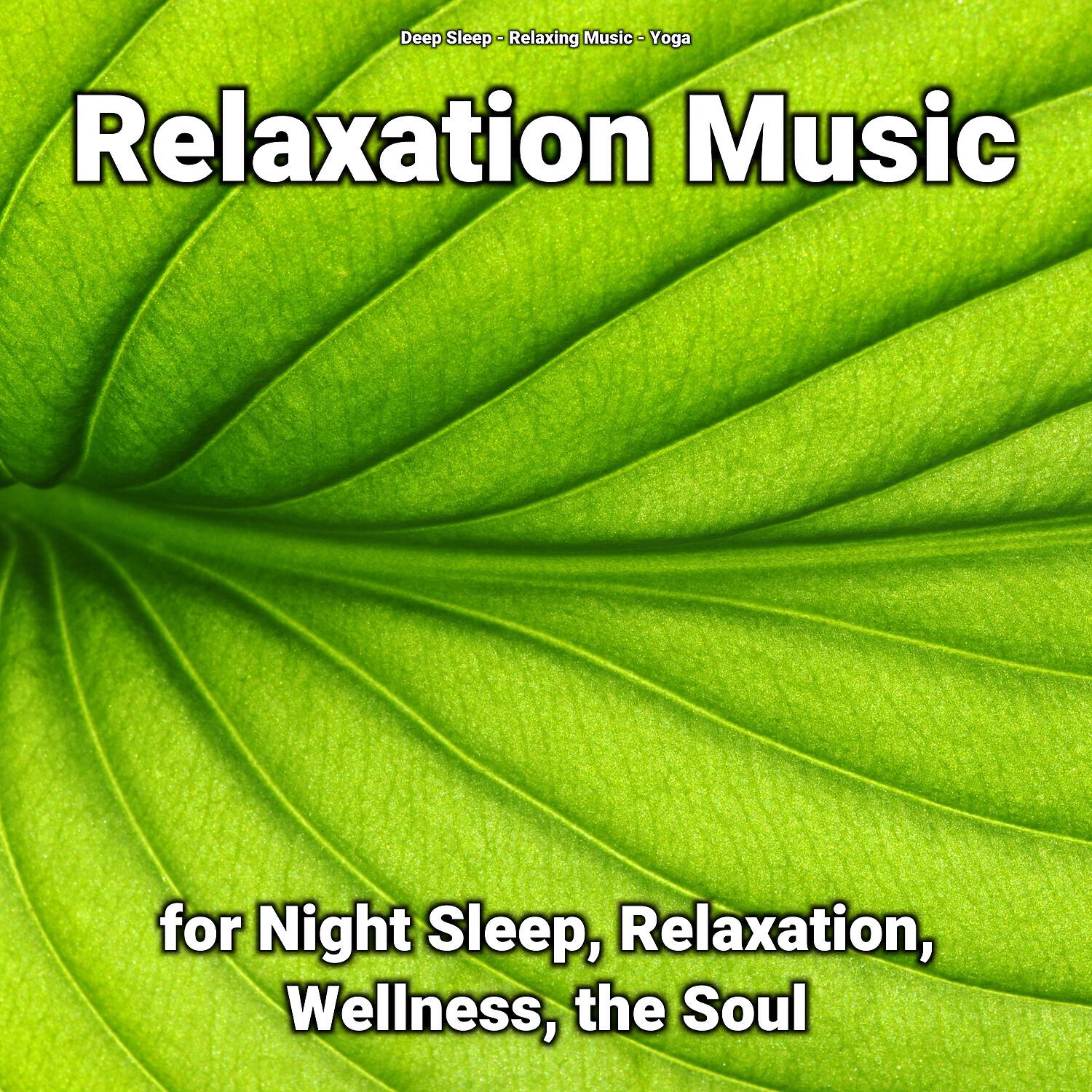 Релиз Relaxation Music for Night Sleep, Relaxation, Wellness, the Soul