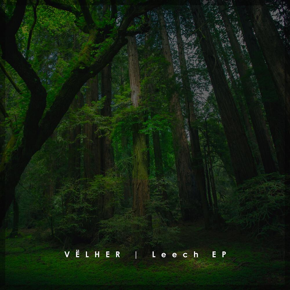 Релиз Leech