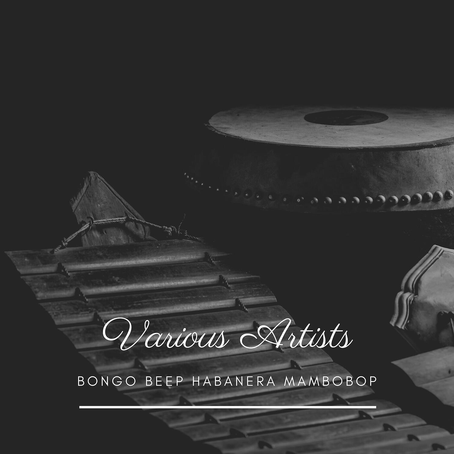 Charlie Parker All Stars, Miles Davis - Bluebird (Take 1)