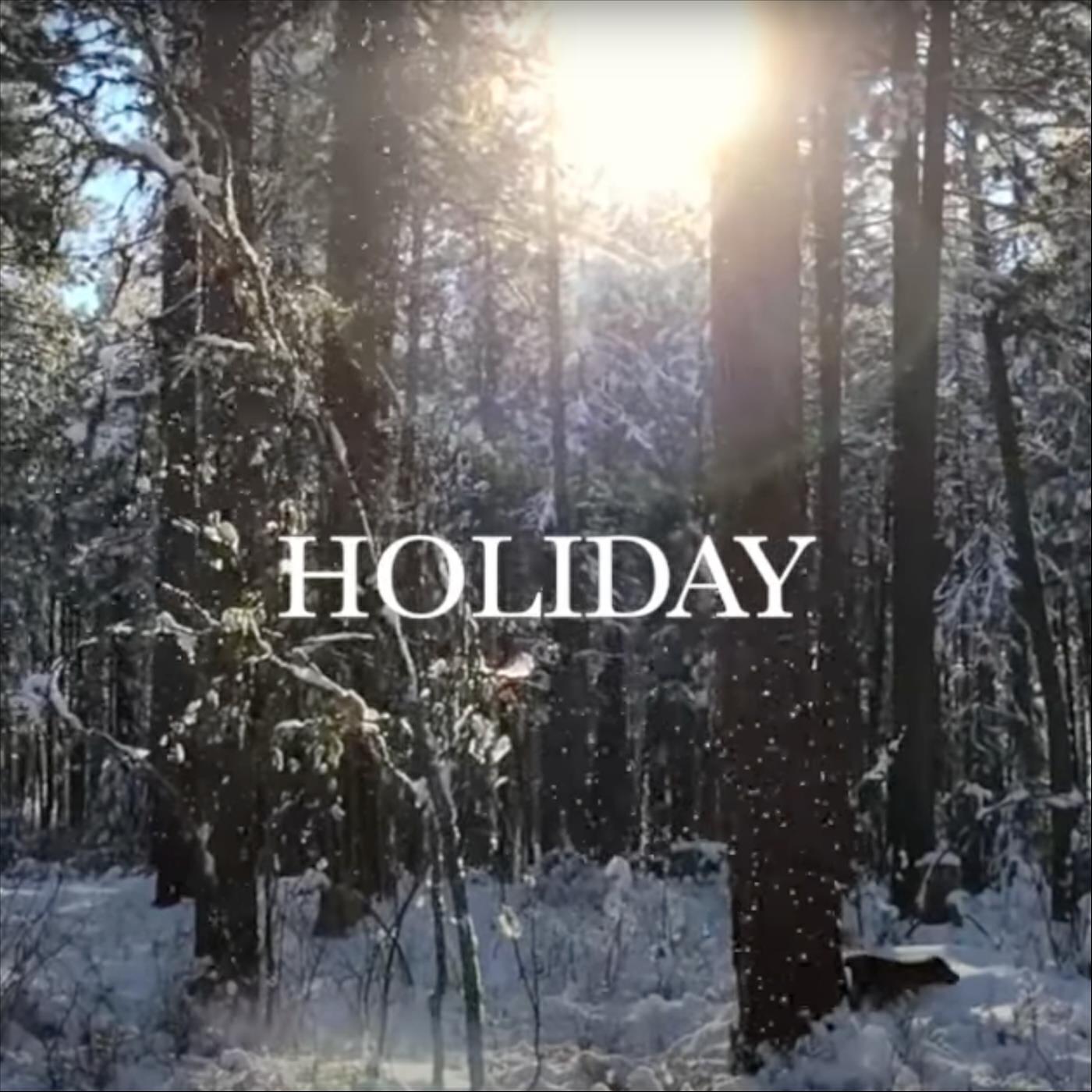 Релиз Holiday