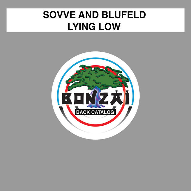 Релиз Lying Low