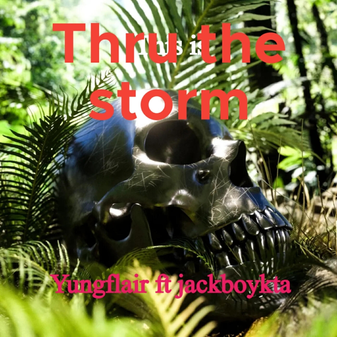Релиз Thru the Storm