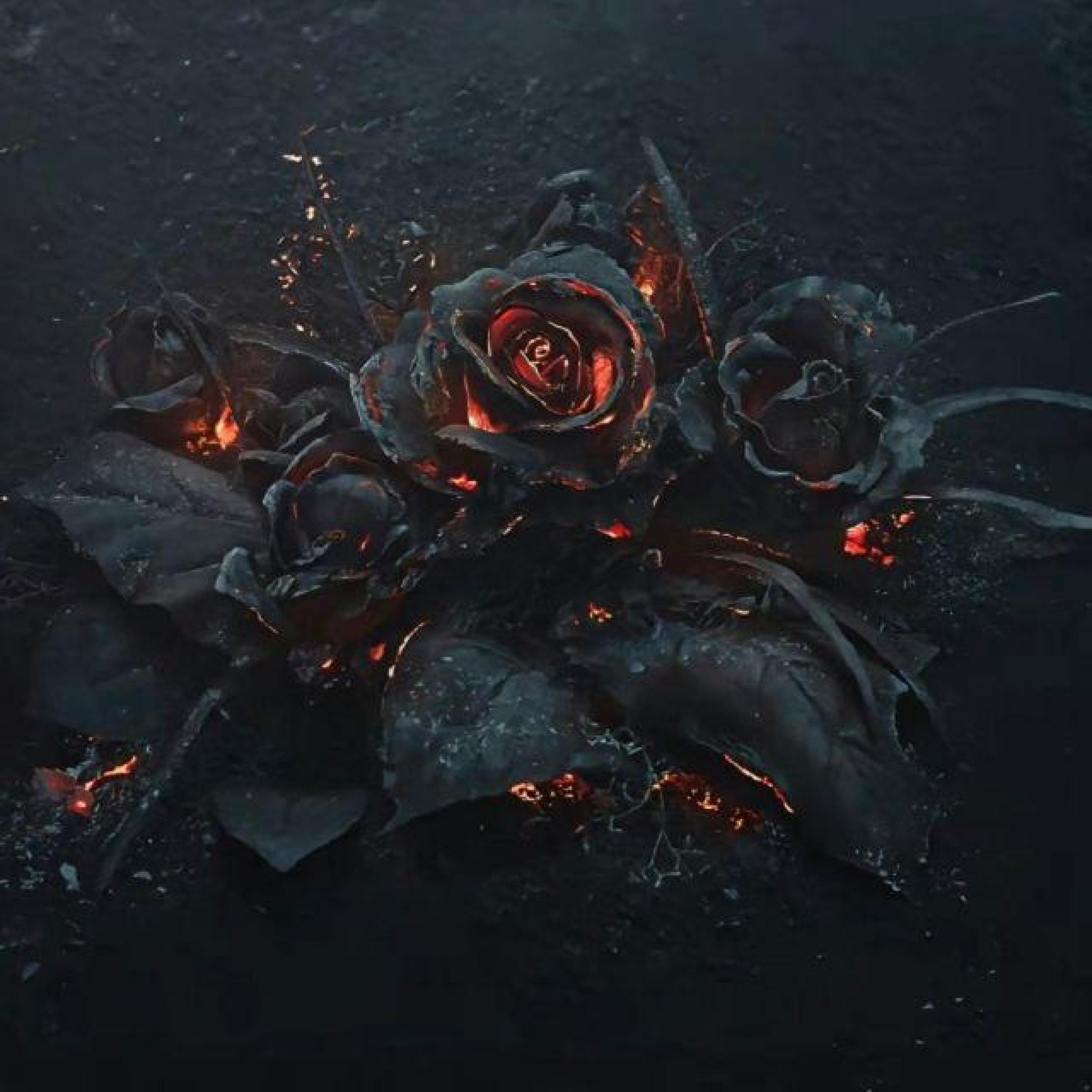 Релиз 边境线上盛开的红花