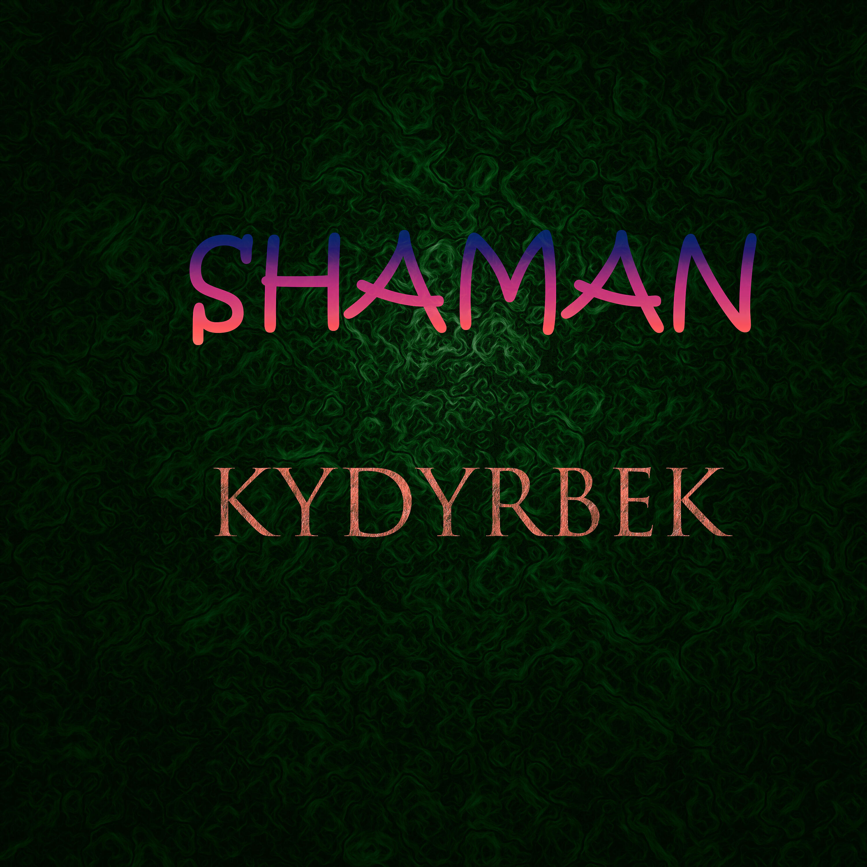 Постер альбома Shaman