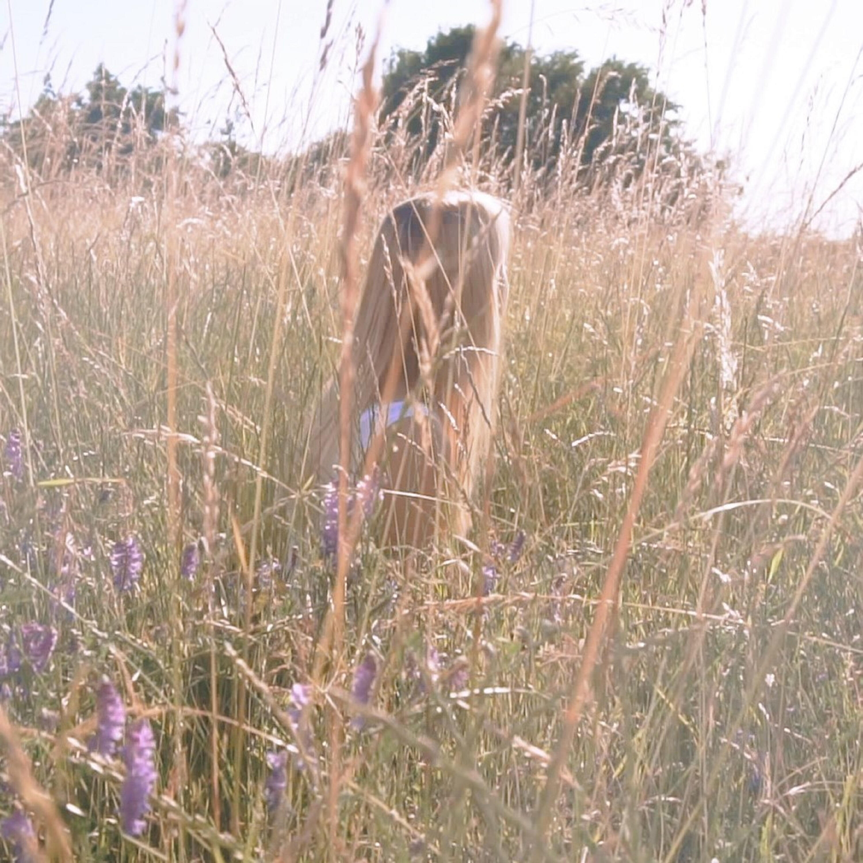 Релиз Where The Moon Smiles
