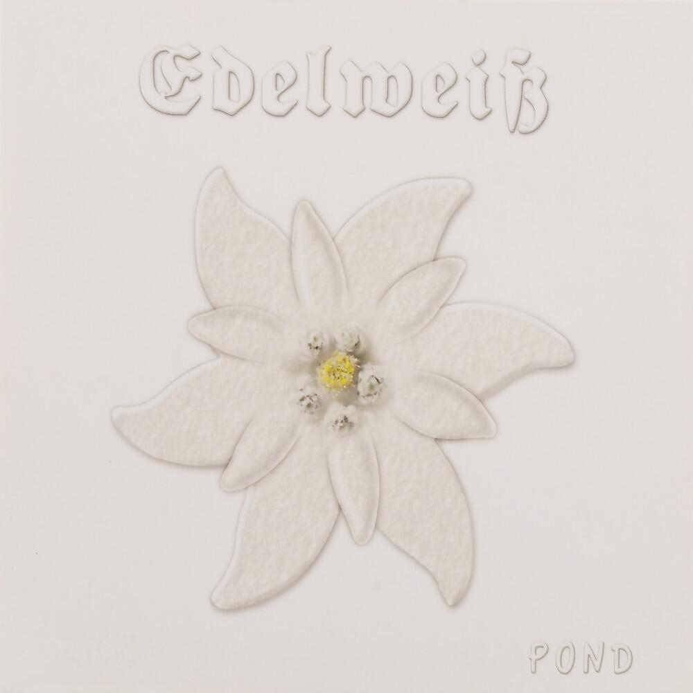 Релиз Edelweiß
