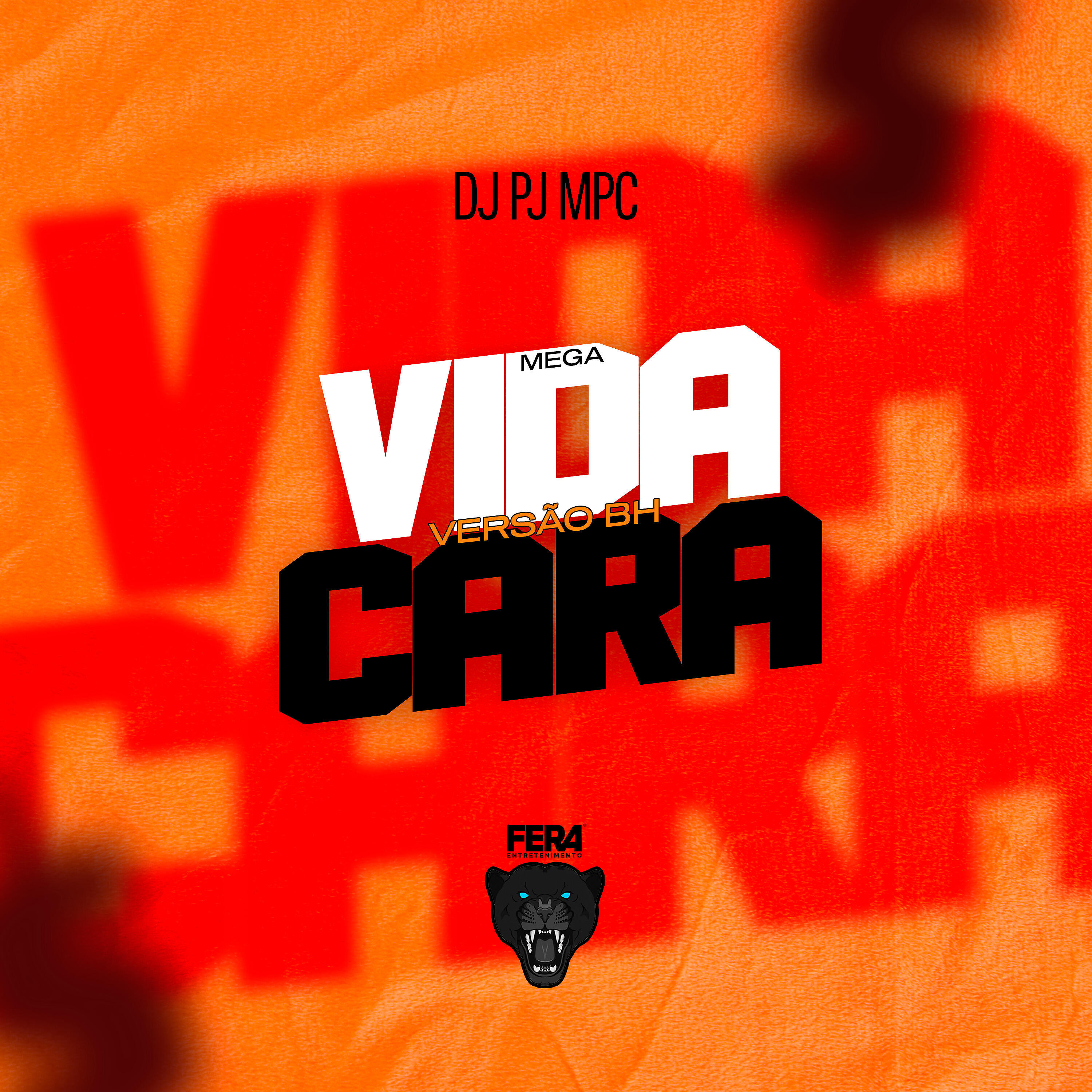 Скачать песню Dj Pj Mpc - Vida Cara (Mega Versão Bh) бесплатно в MP3 для Android и iOS
