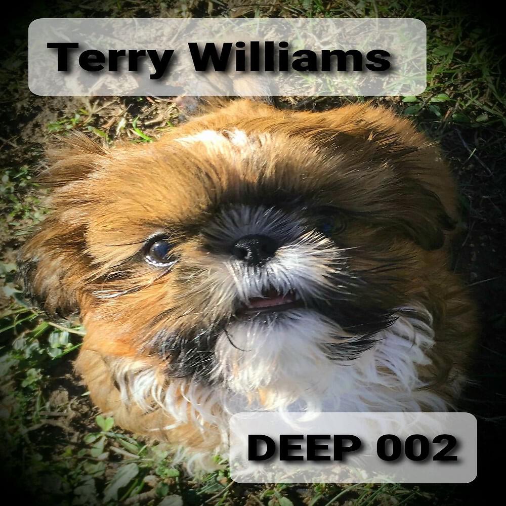 Релиз Deep 002