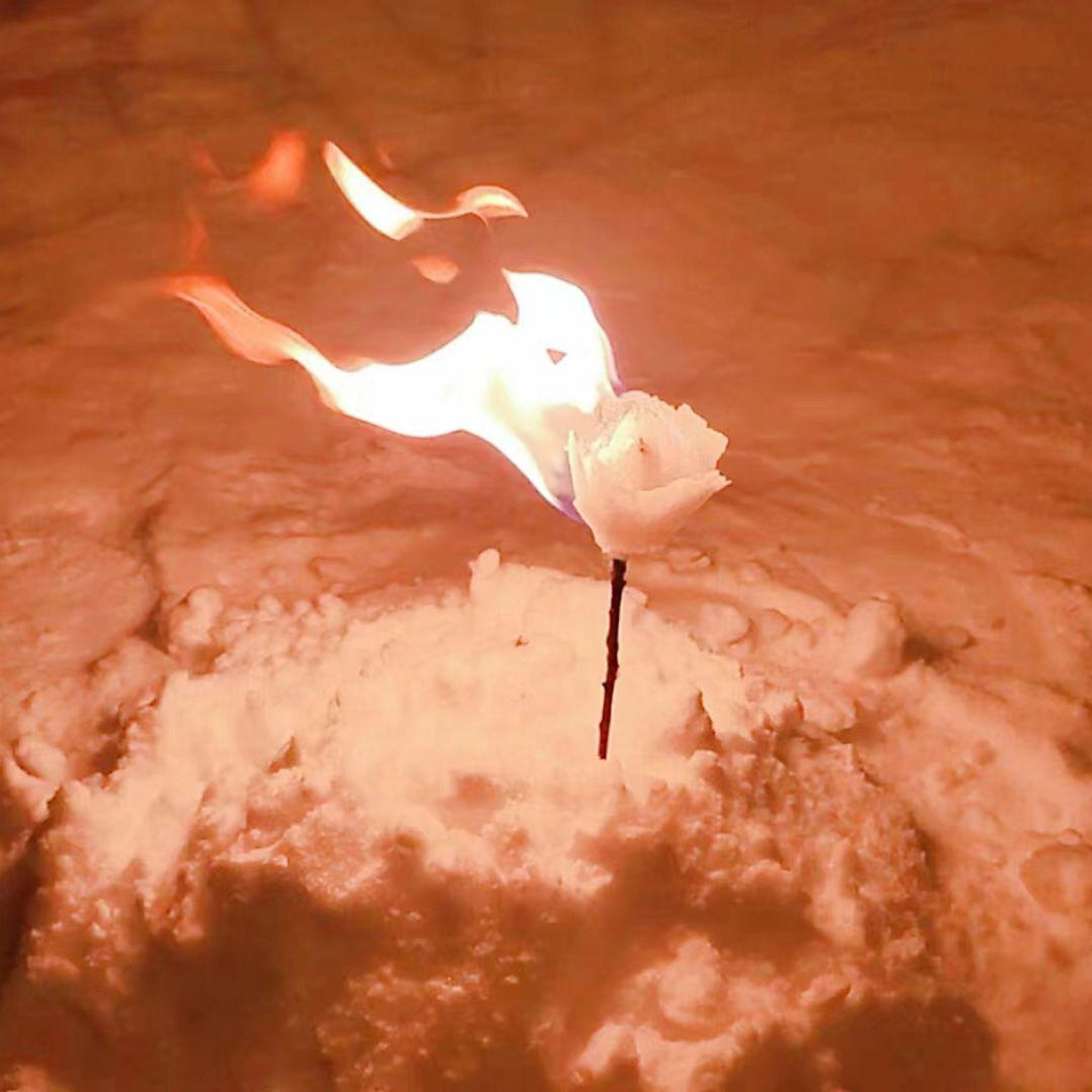 Релиз 反转冬天