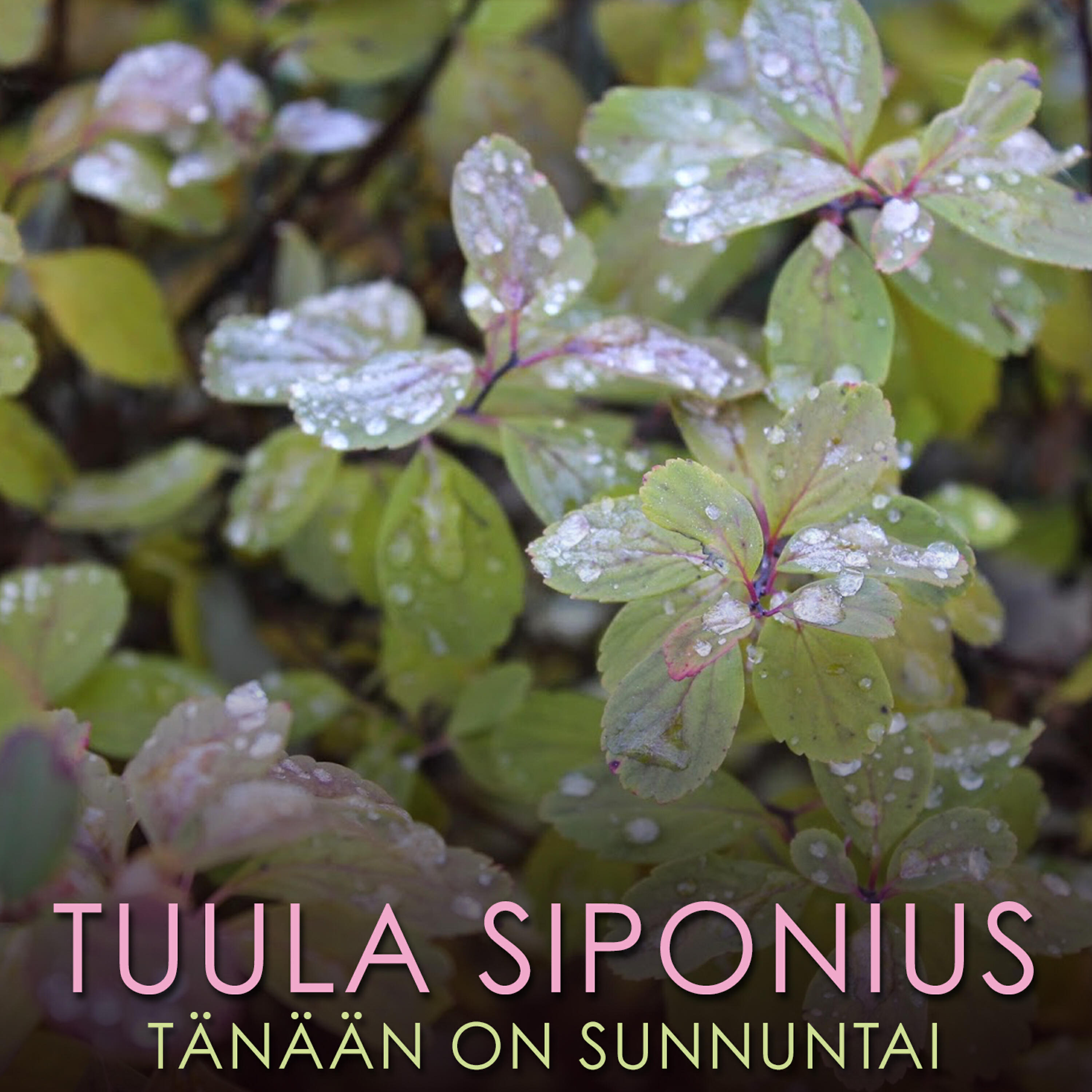 Релиз Tänään On Sunnuntai