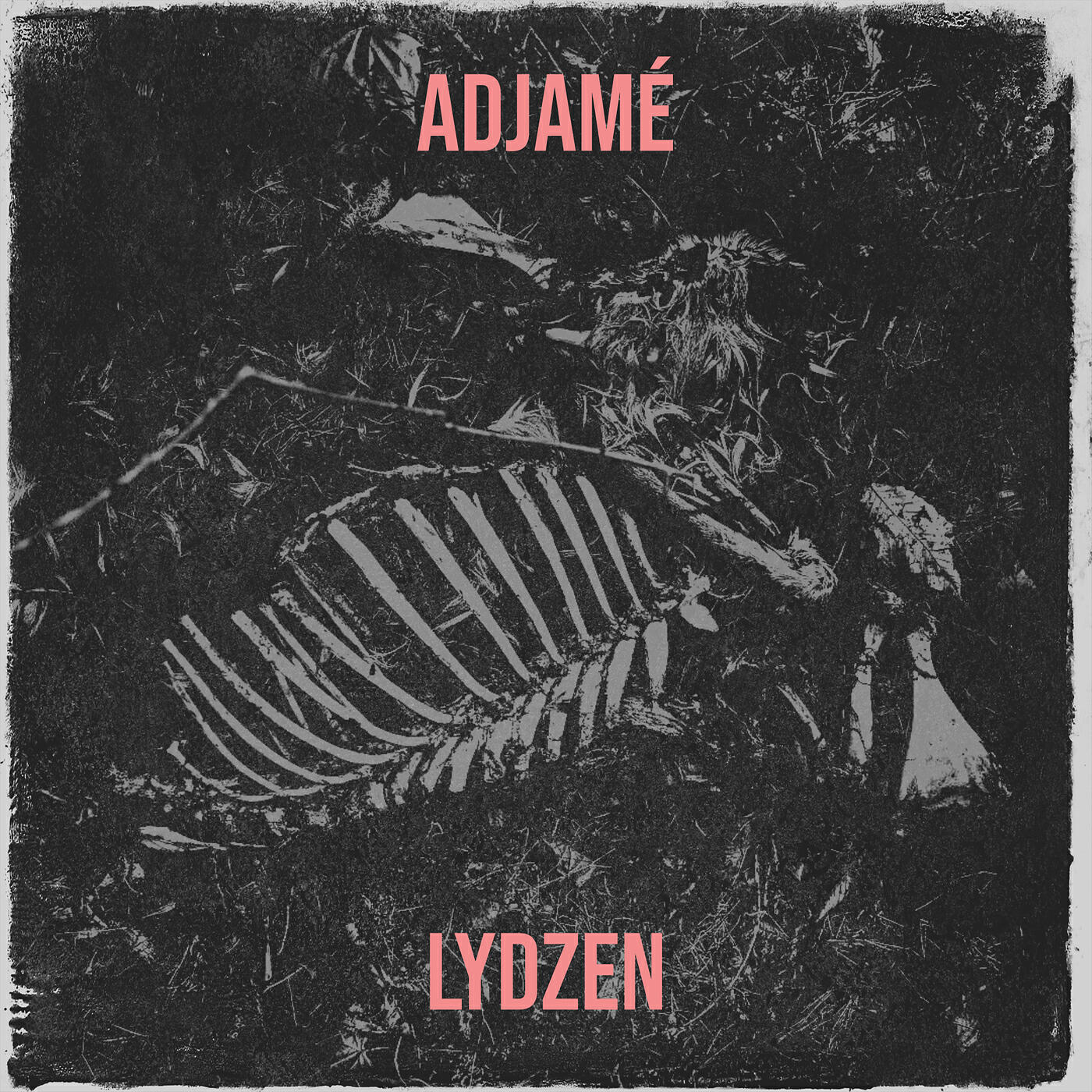 LYDZEN
