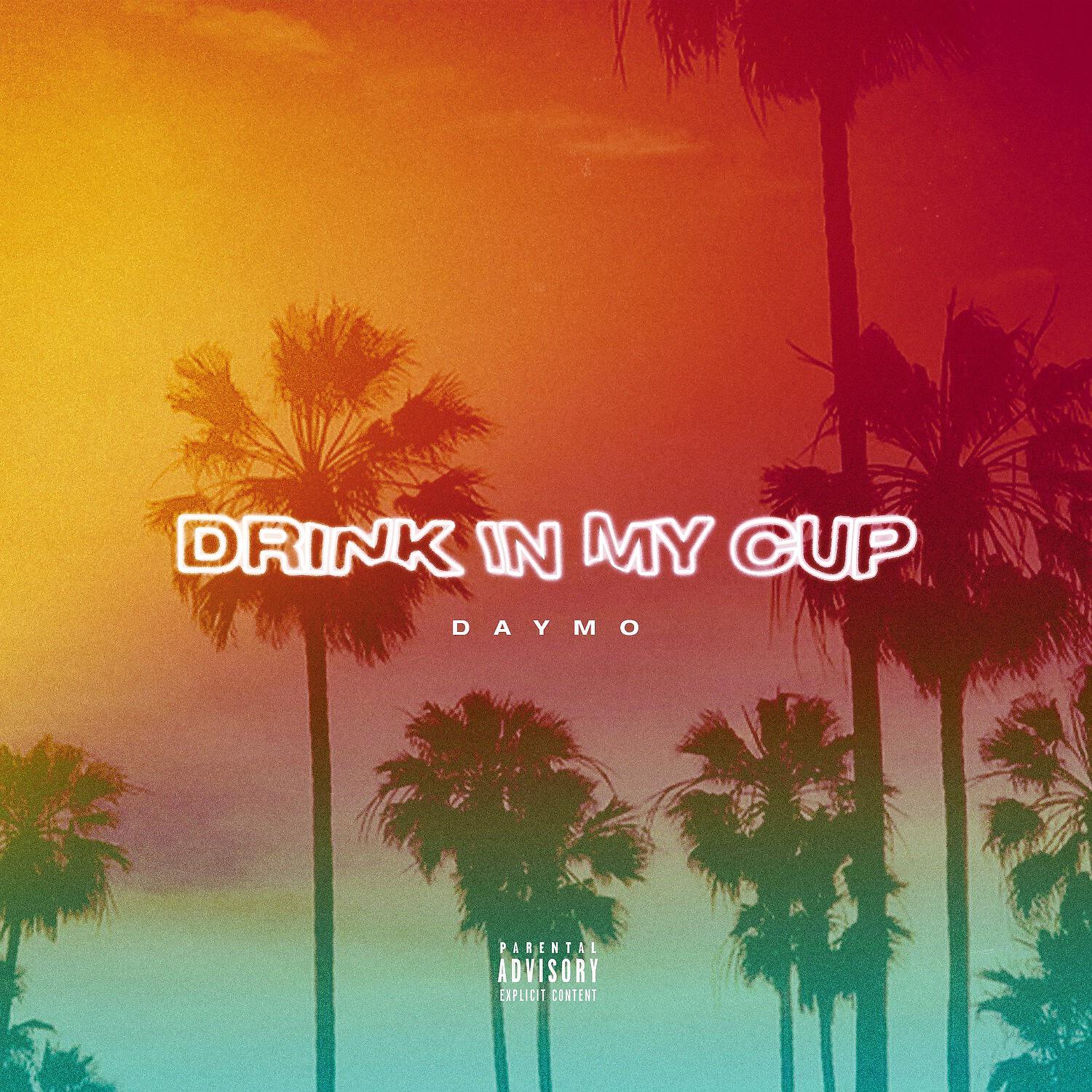 Постер альбома Drink In My Cup
