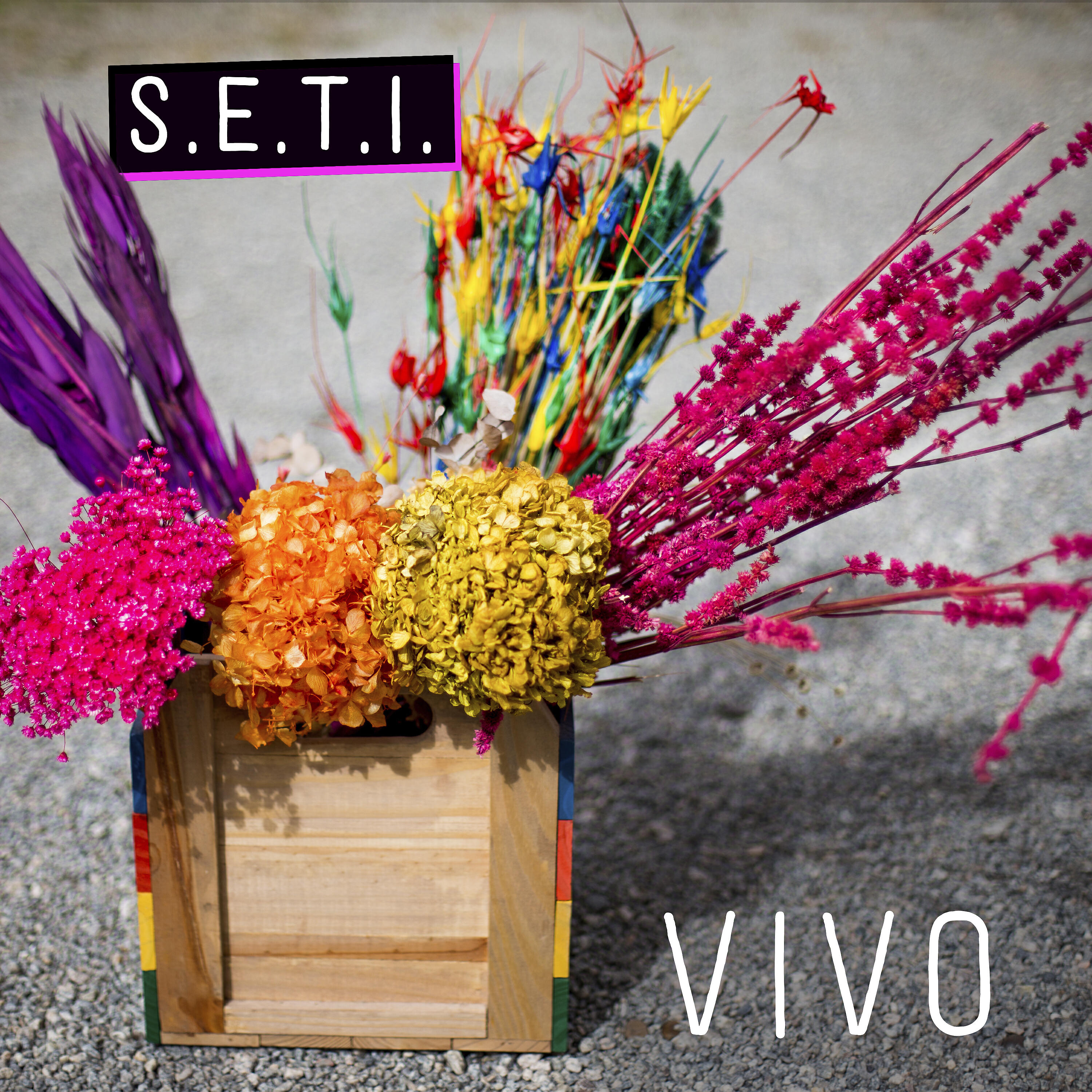 Релиз Vivo