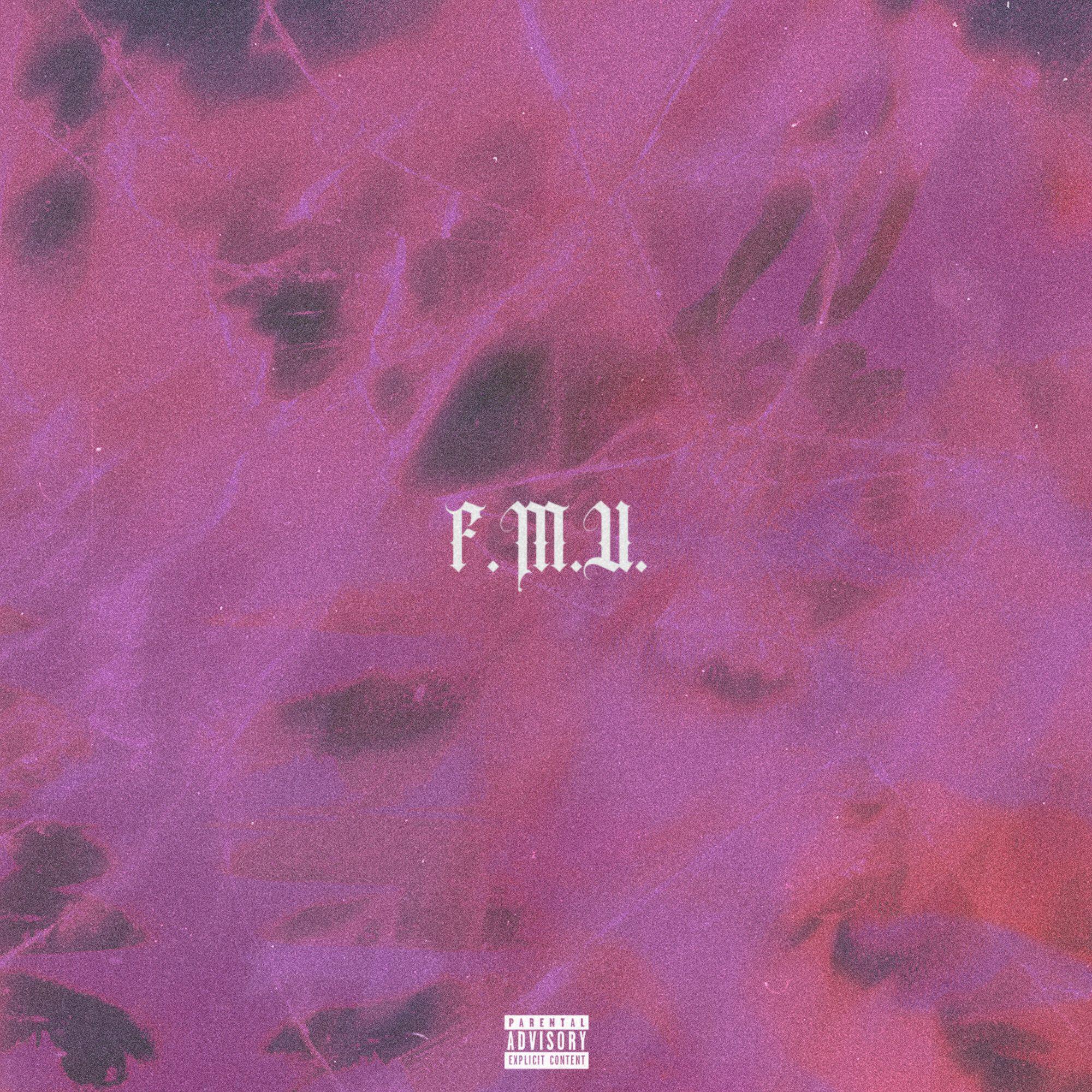 Релиз FMU