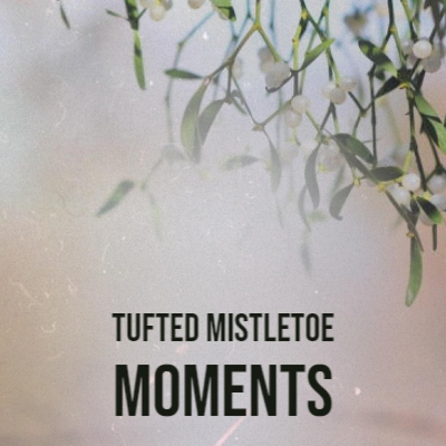Релиз Tufted Mistletoe Moments