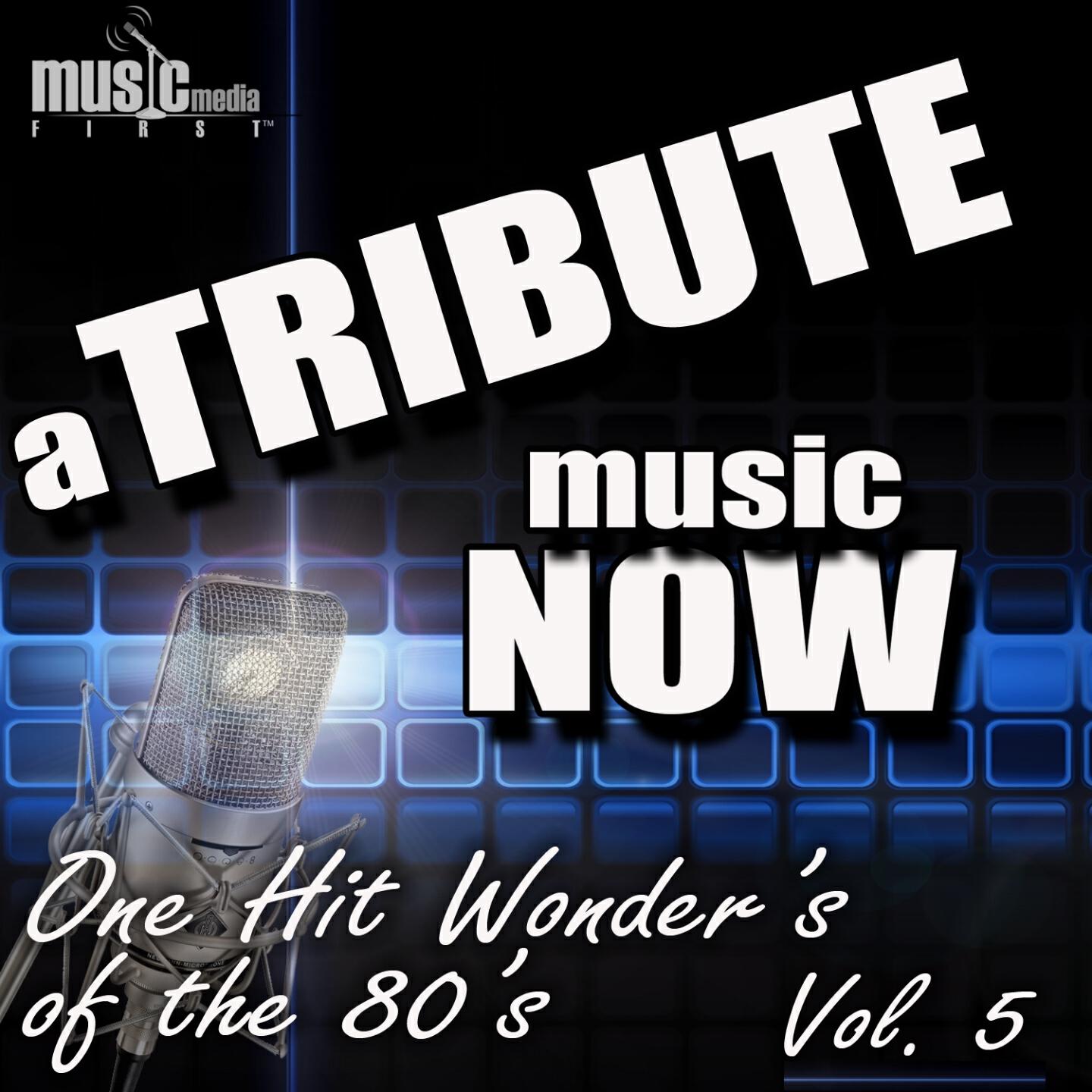 Релиз A Tribute Music Now: One Hit Wonder's of the 80's, Vol. 5