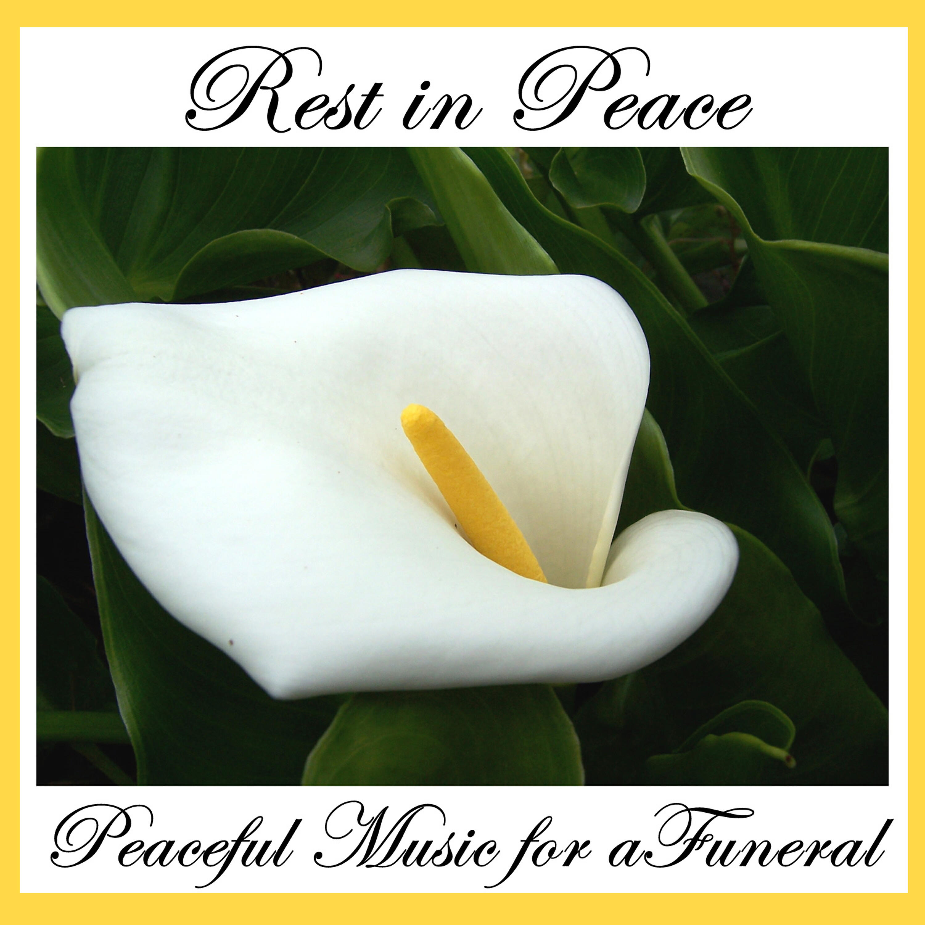 Релиз Rest in Peace: Peaceful Music for a Funeral
