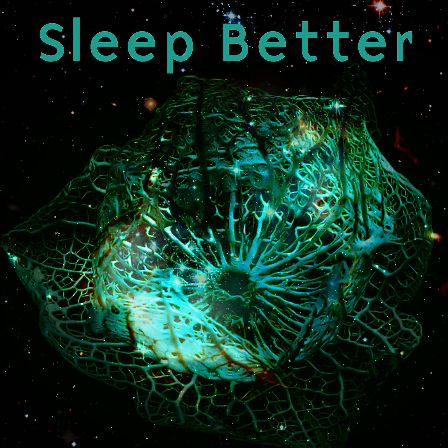 Постер альбома Sleep Better – Fabulous Nature Sounds, Deep Relaxation, Background Music for Relax, New Age Music, Sleep Music