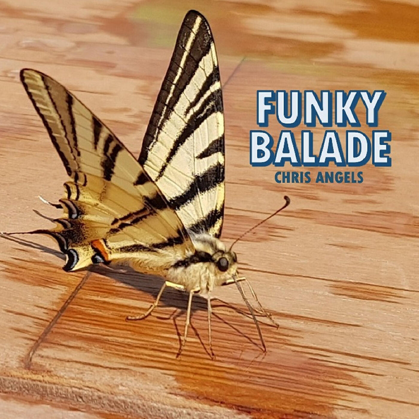 Релиз FUNKY BALADE