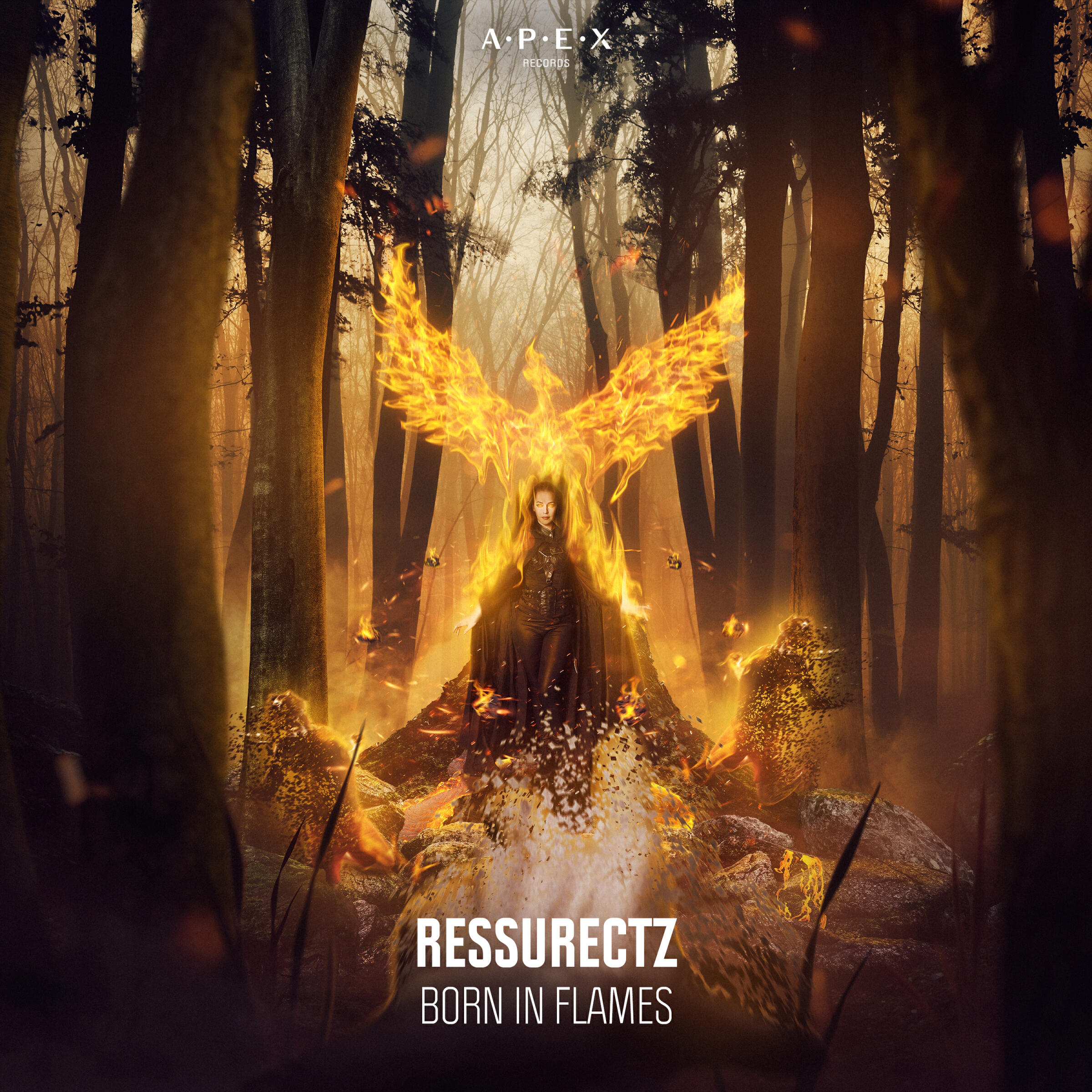 Релиз Born In Flames