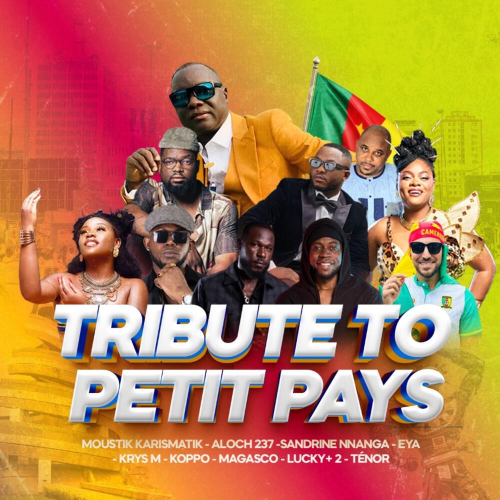 Релиз Le contineng (Tribute to petit pays)