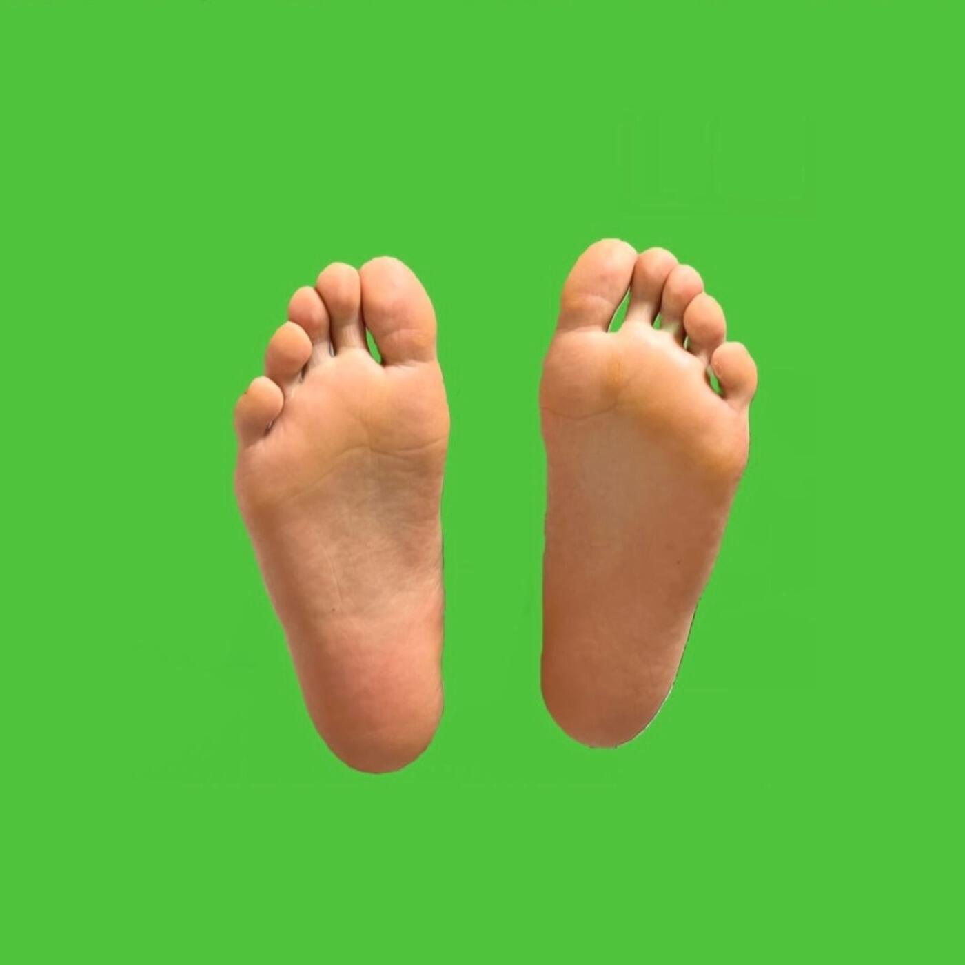 5Windows Freak