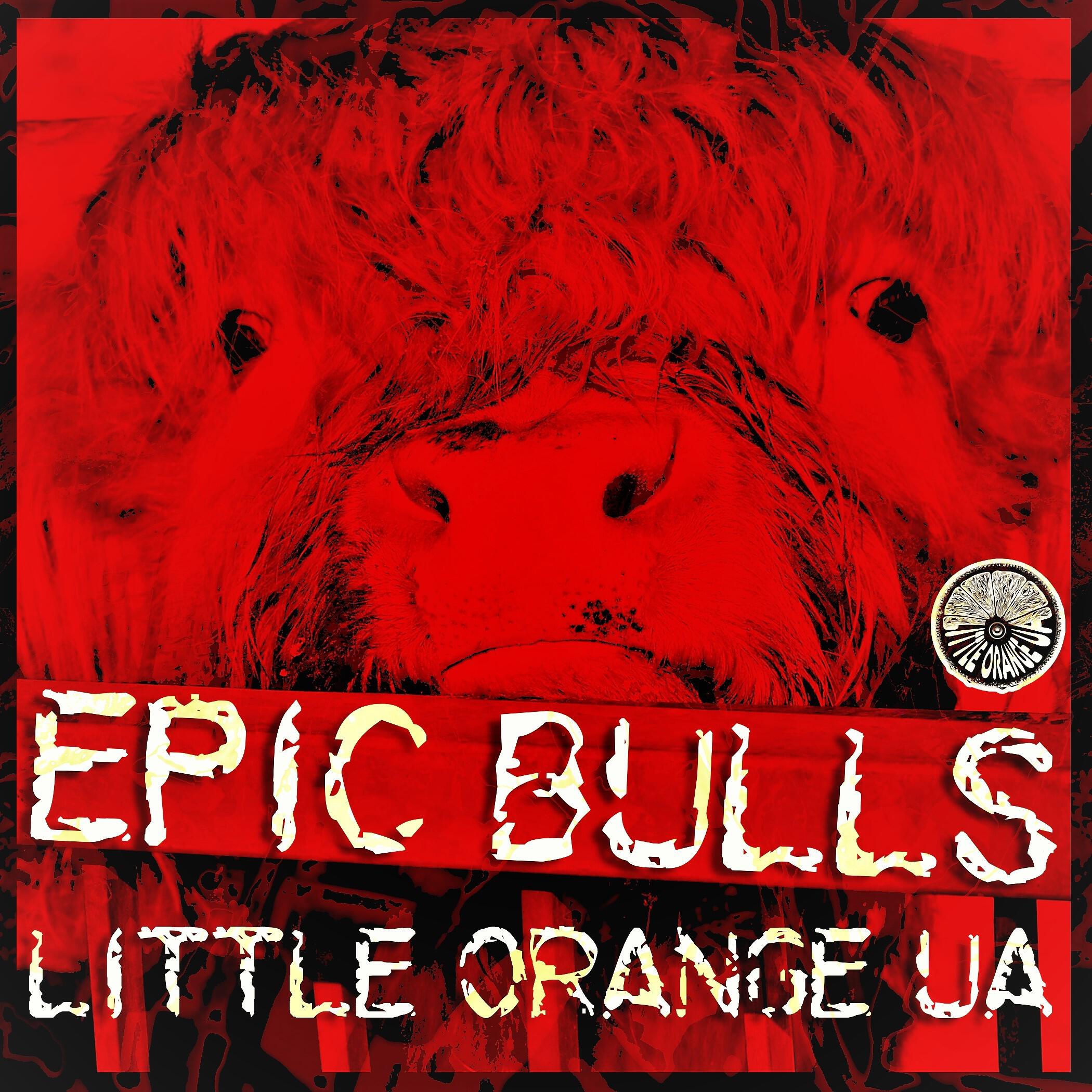 Релиз Epic Bulls