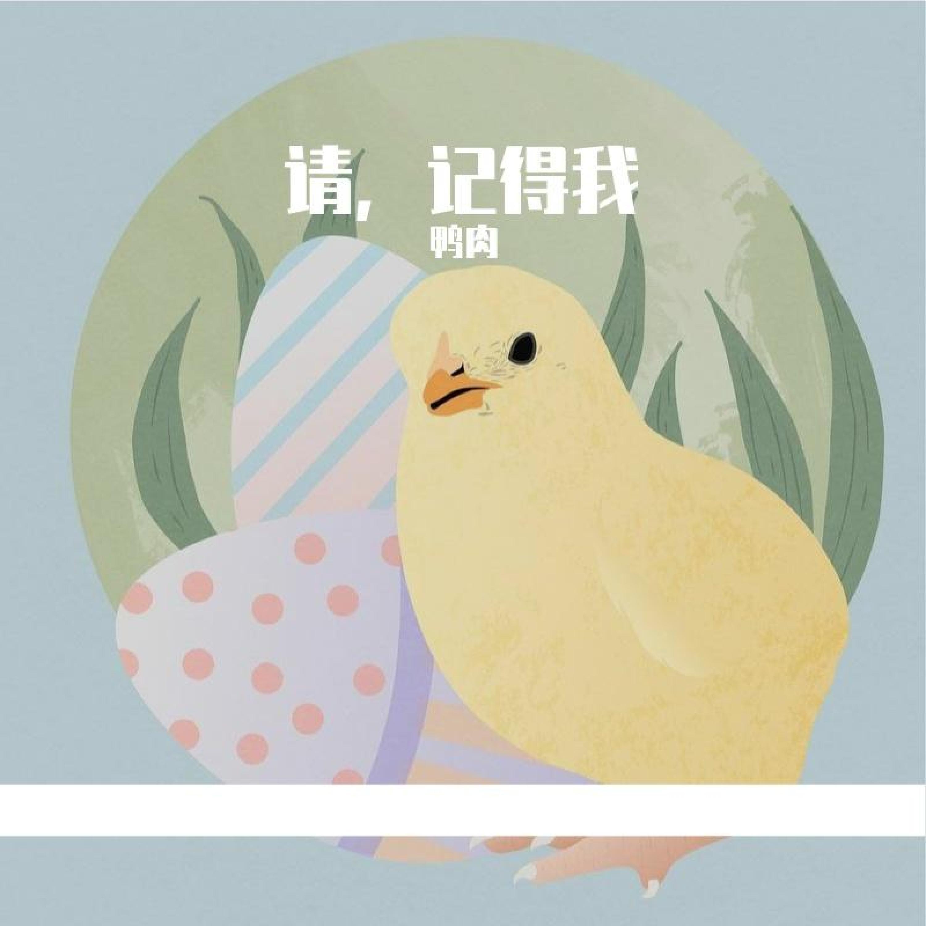 鸭肉