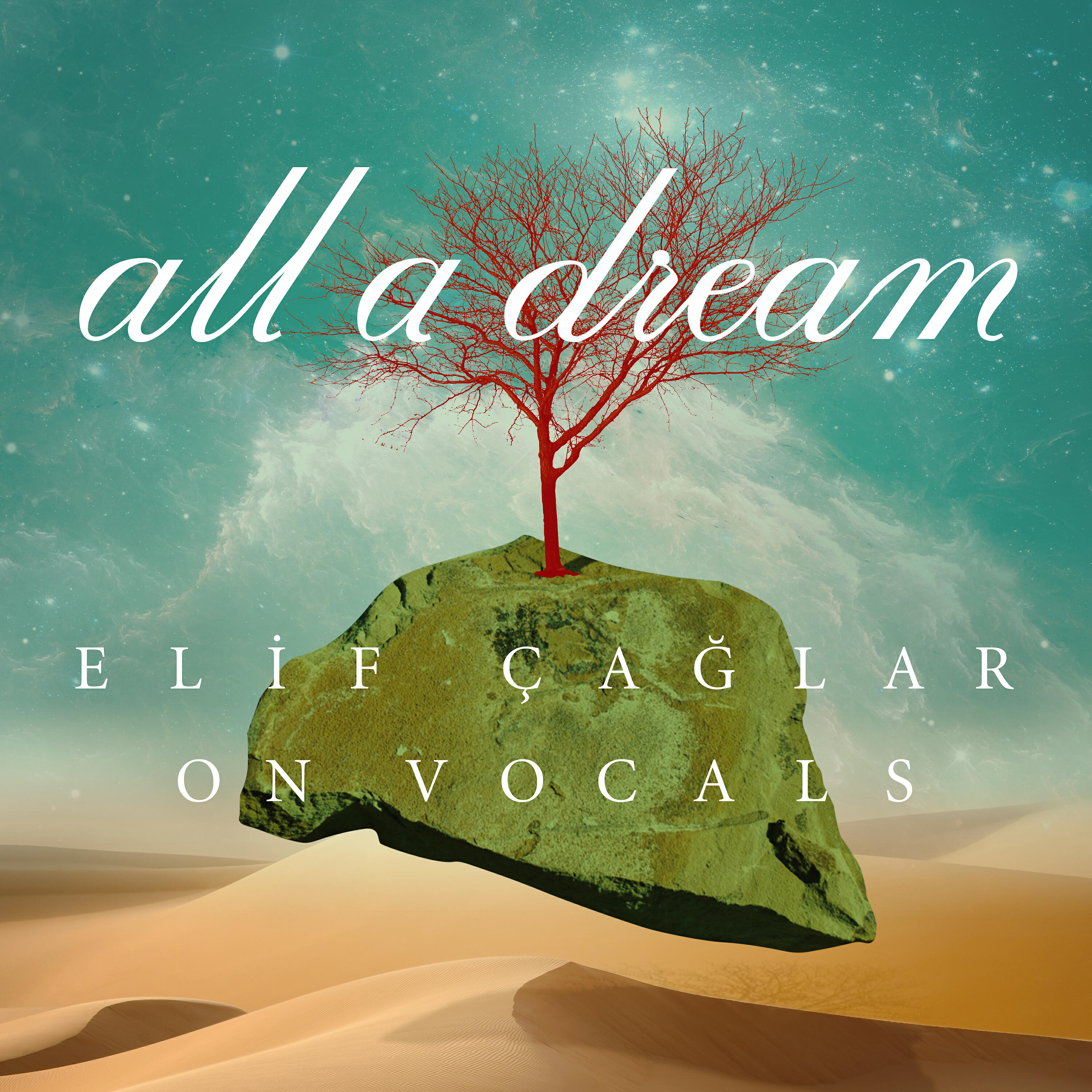 Релиз Elif Çağlar on Vocals: All a Dream