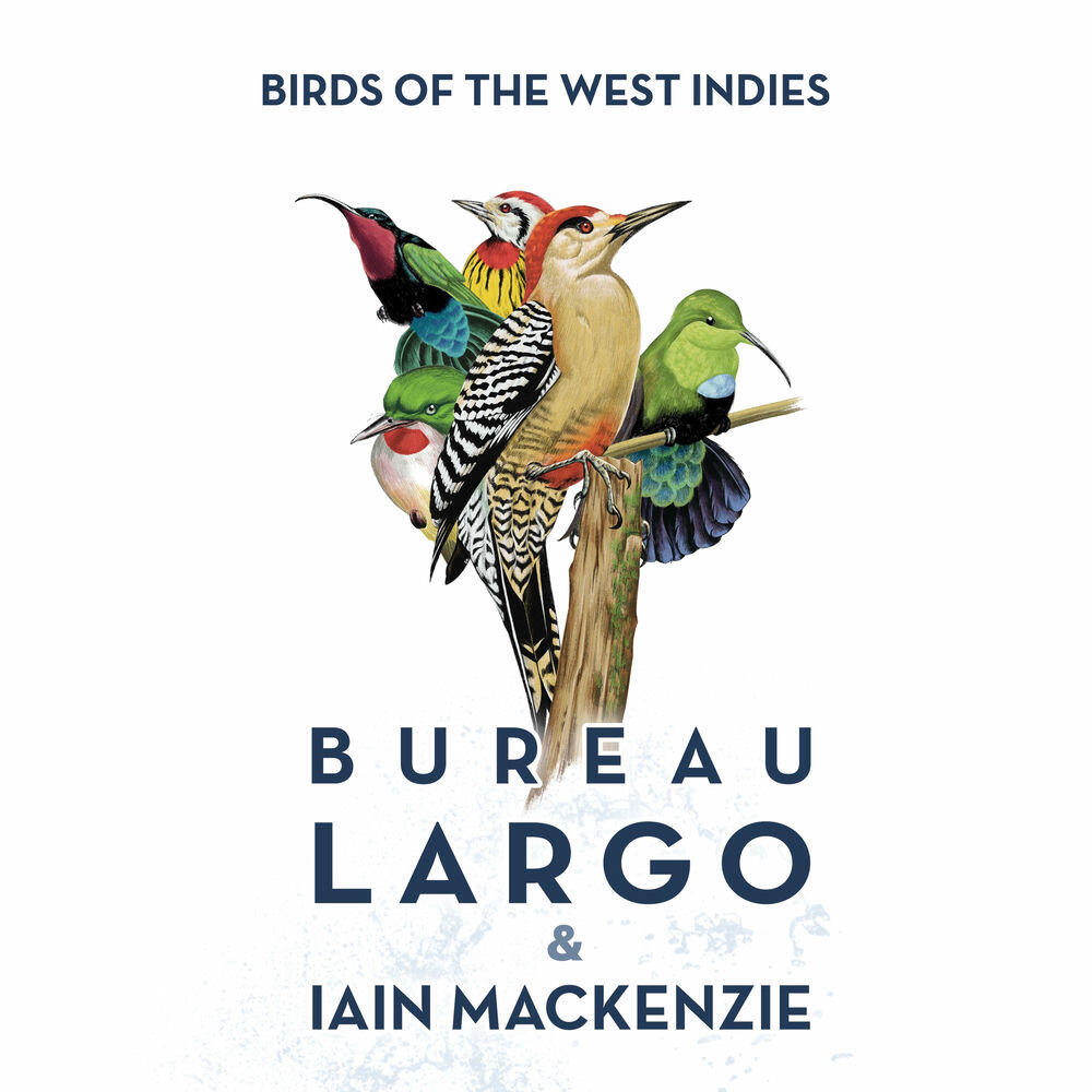 Релиз Birds of the West Indies (Radio-Edit)