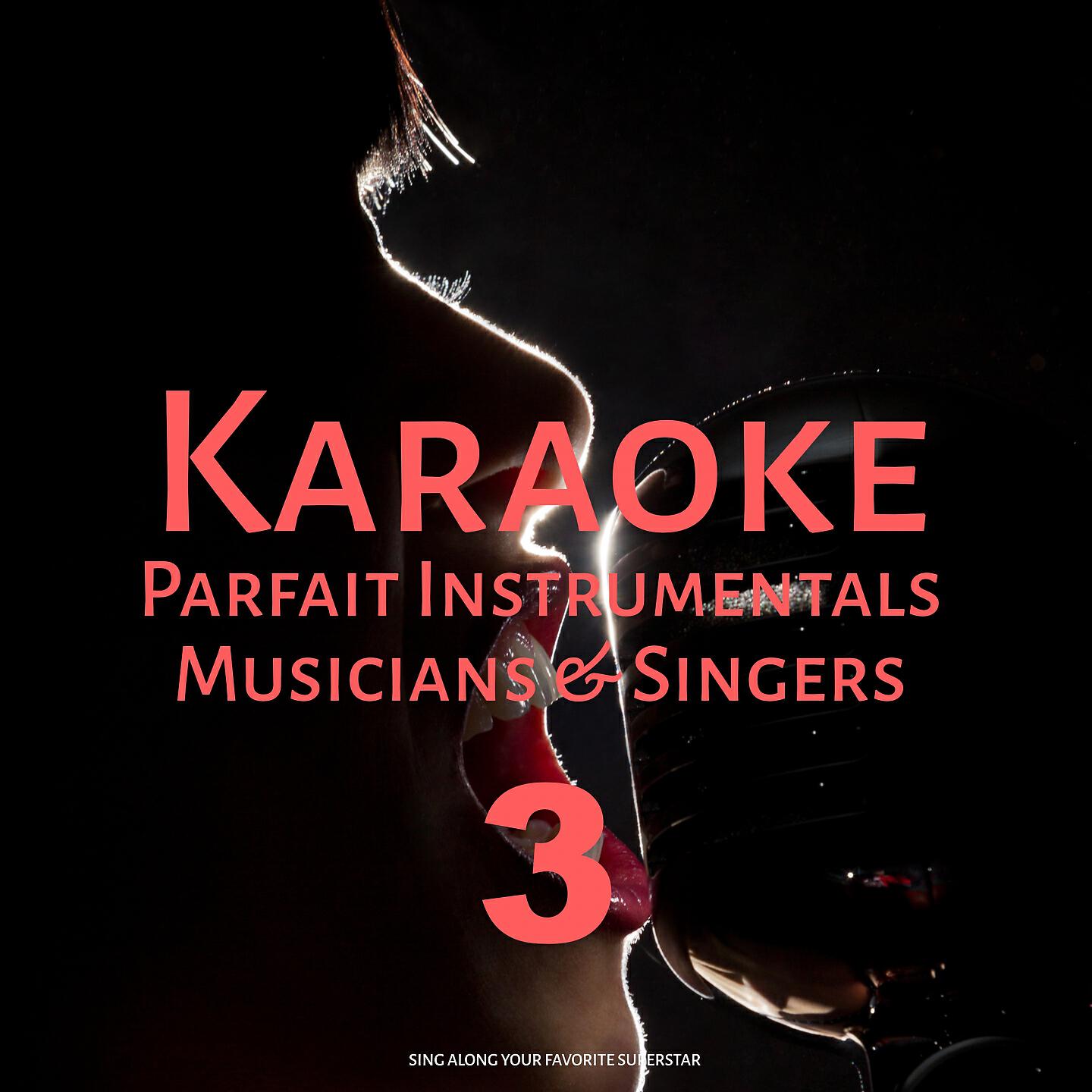 Релиз Karaoke Parfait Instrumentals Musicians & Singers, Vol. 3