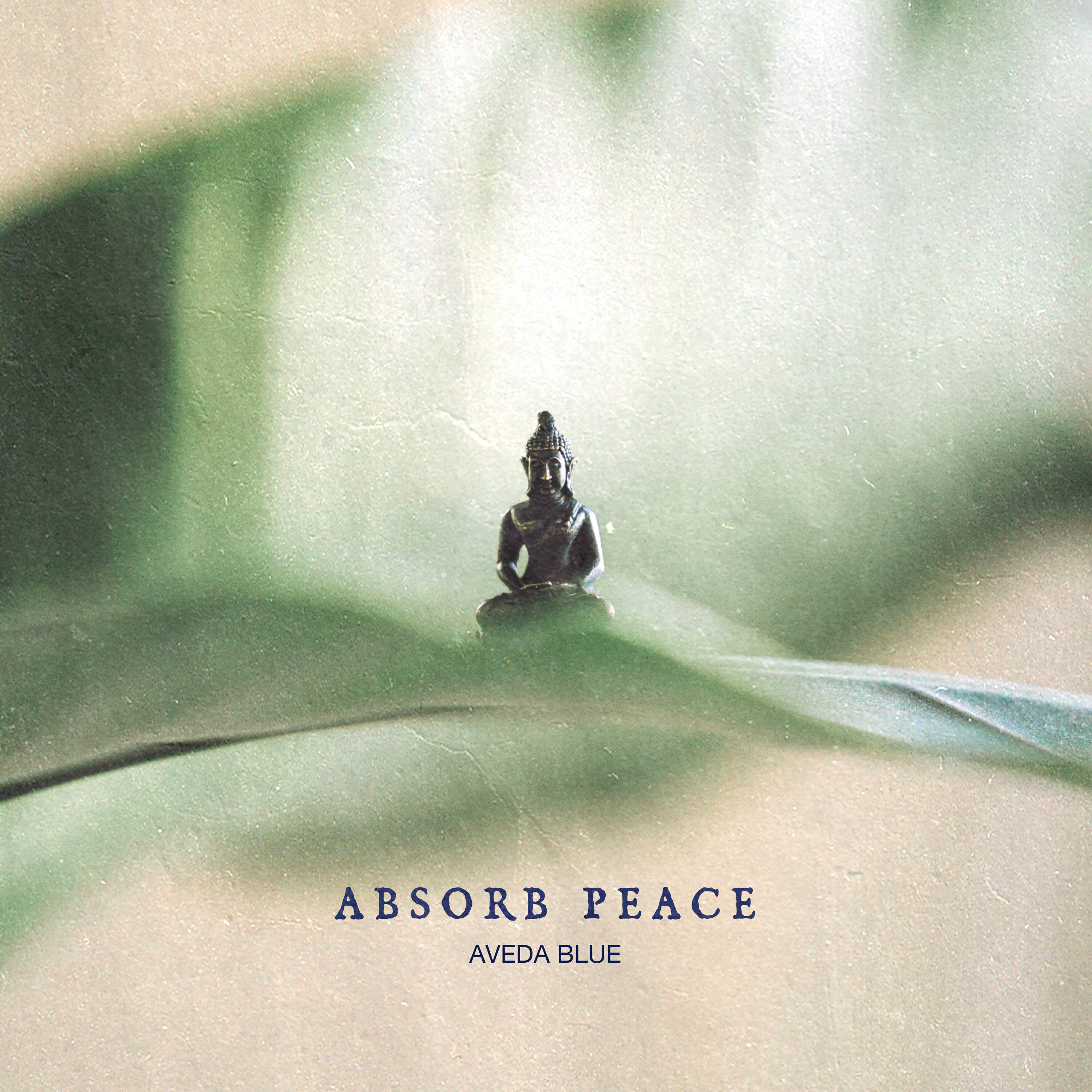 Релиз Absorb Peace