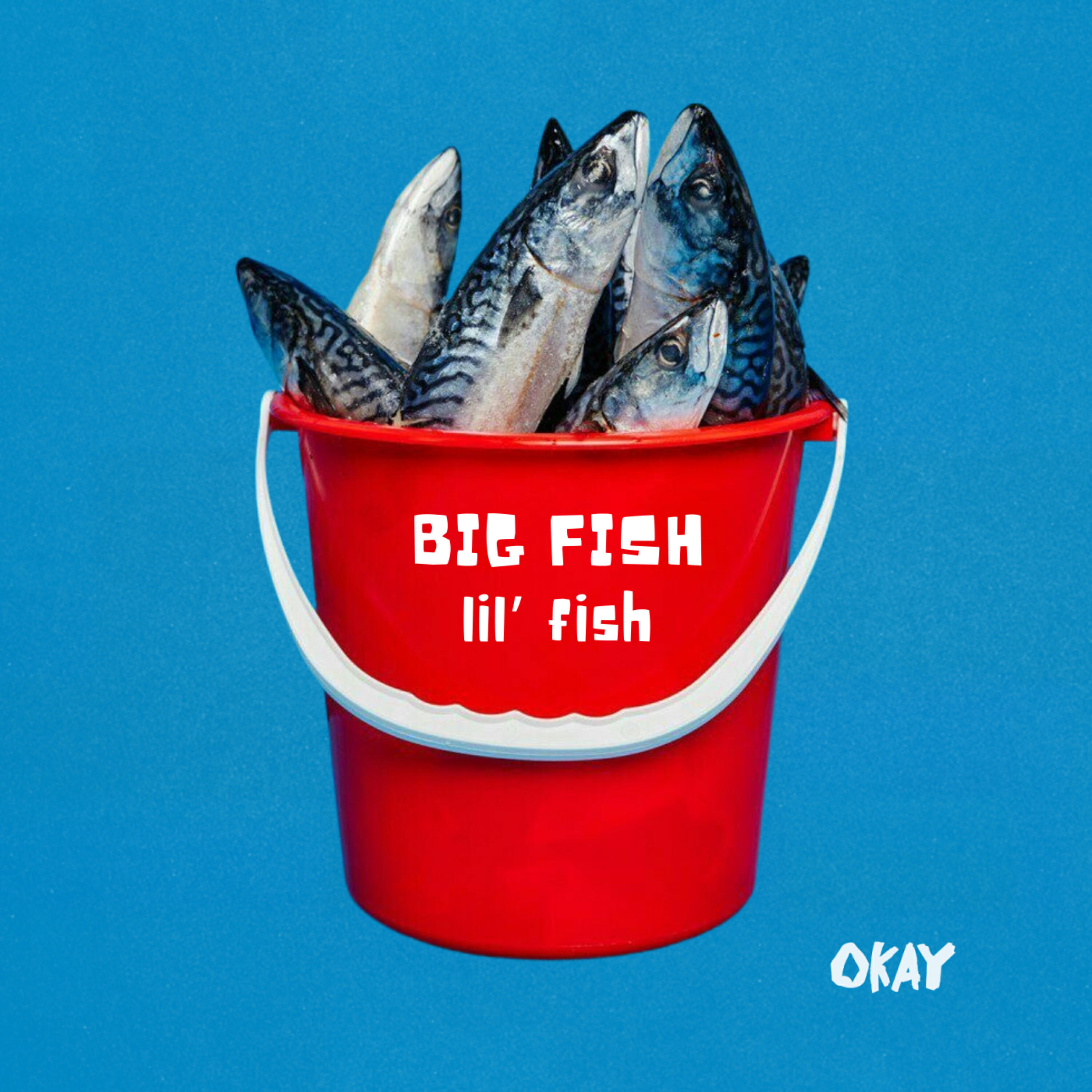 Релиз BIG FISH LIL' FISH