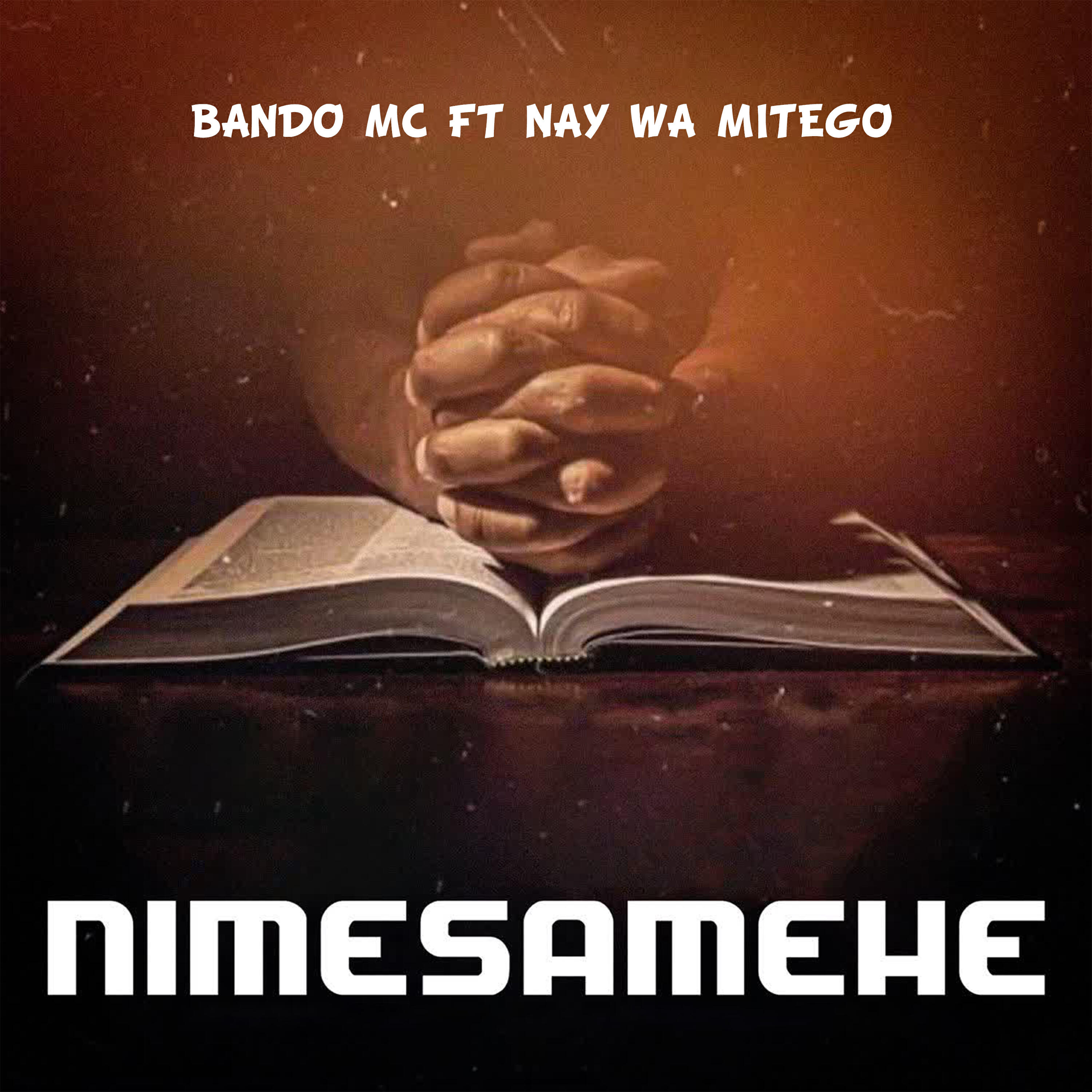 Релиз Nimesamehe