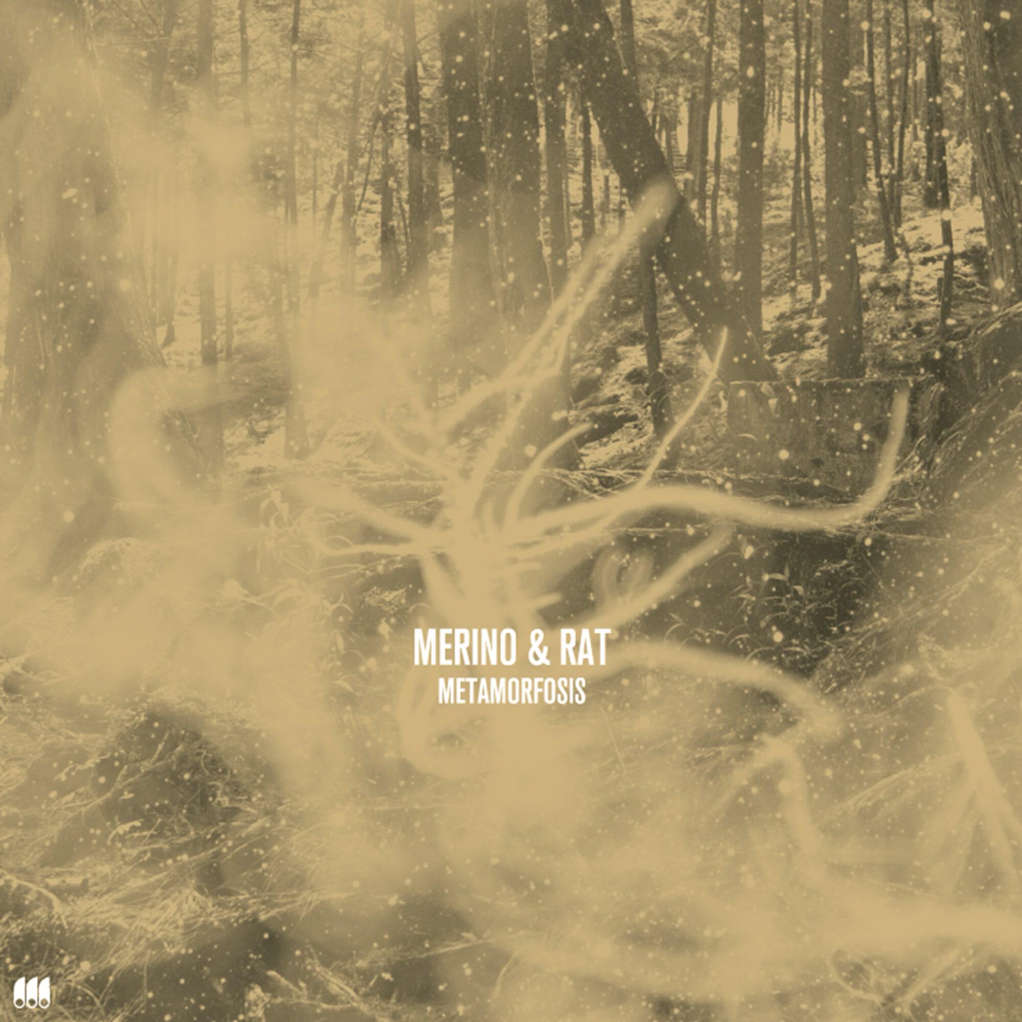 Релиз Metamorfosis