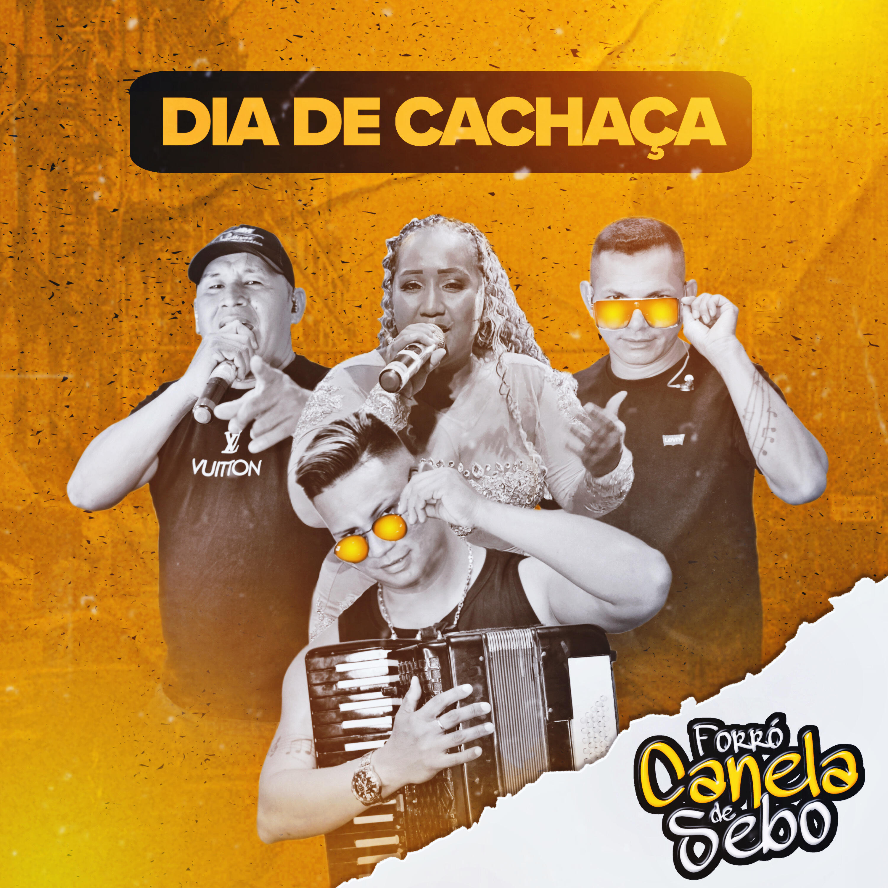 Релиз Dia de Cachaça