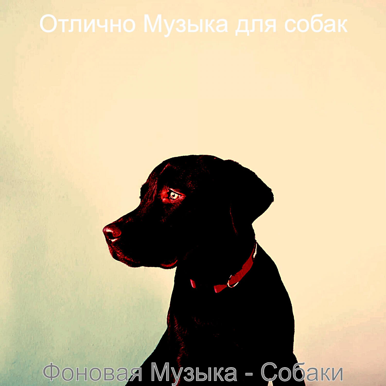 Релиз Фоновая Музыка - Собаки